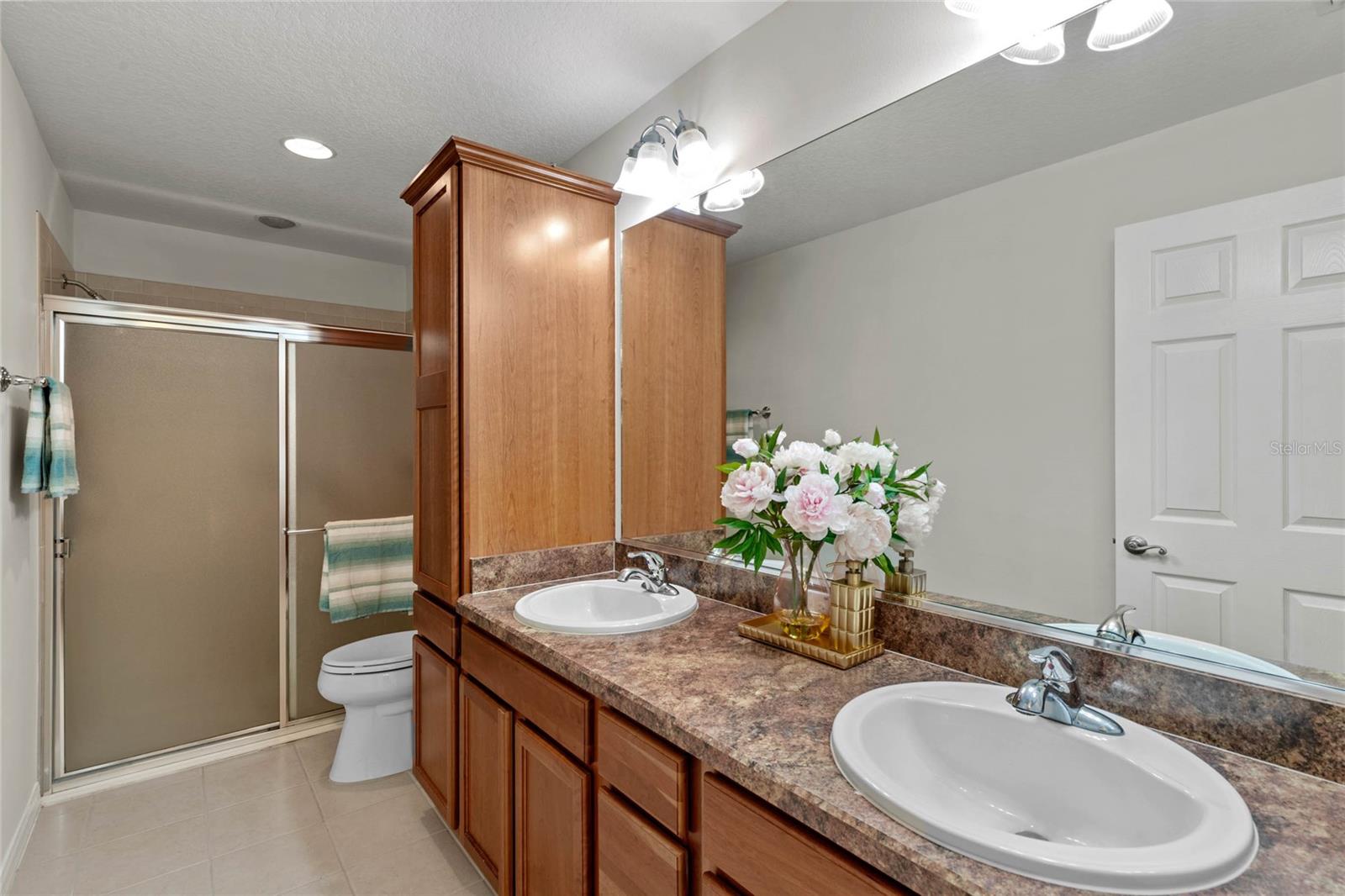 719 RICHFIELD ST, THE VILLAGES, FL, 32163