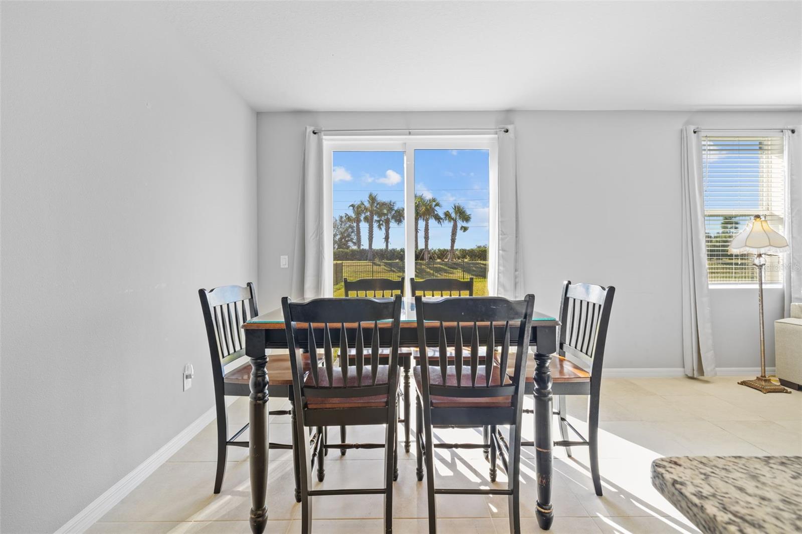 7025 FEATHER RIVER PL, PARRISH, FL, 34219