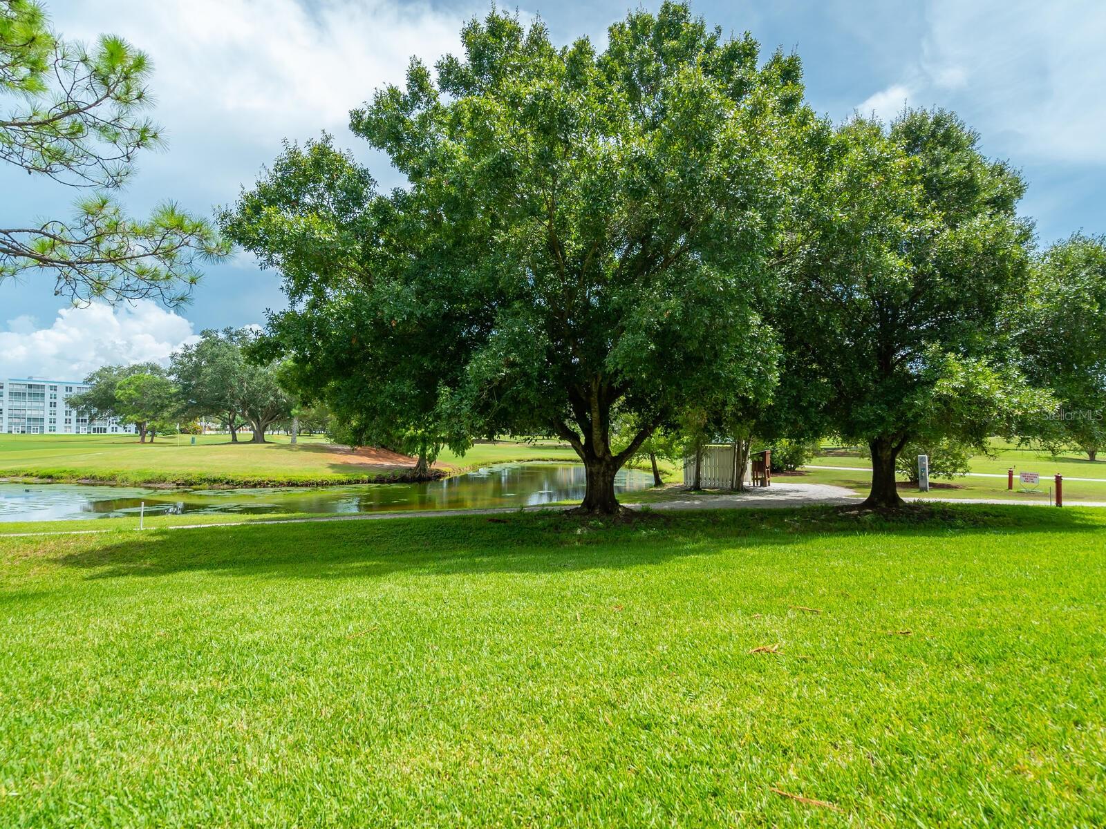 3620 IRONWOOD CIR #304O, BRADENTON, FL, 34209