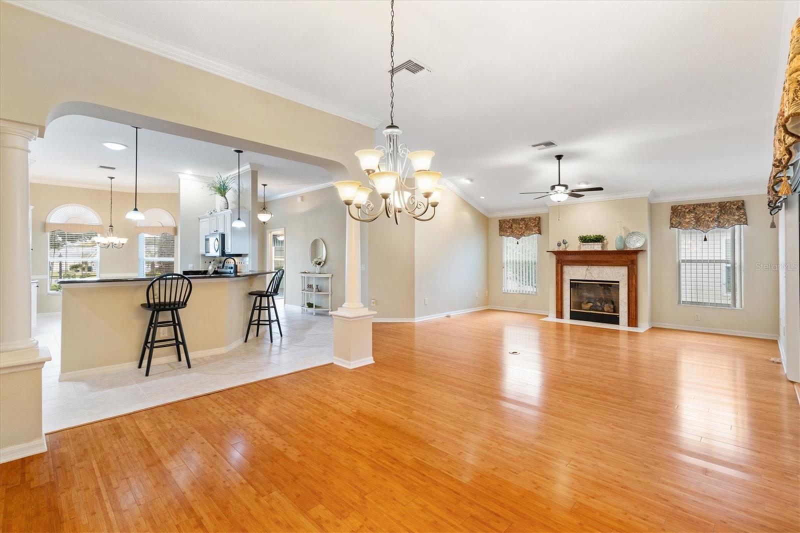 7795 SE 166TH HIBERNIA LN, THE VILLAGES, FL, 32162