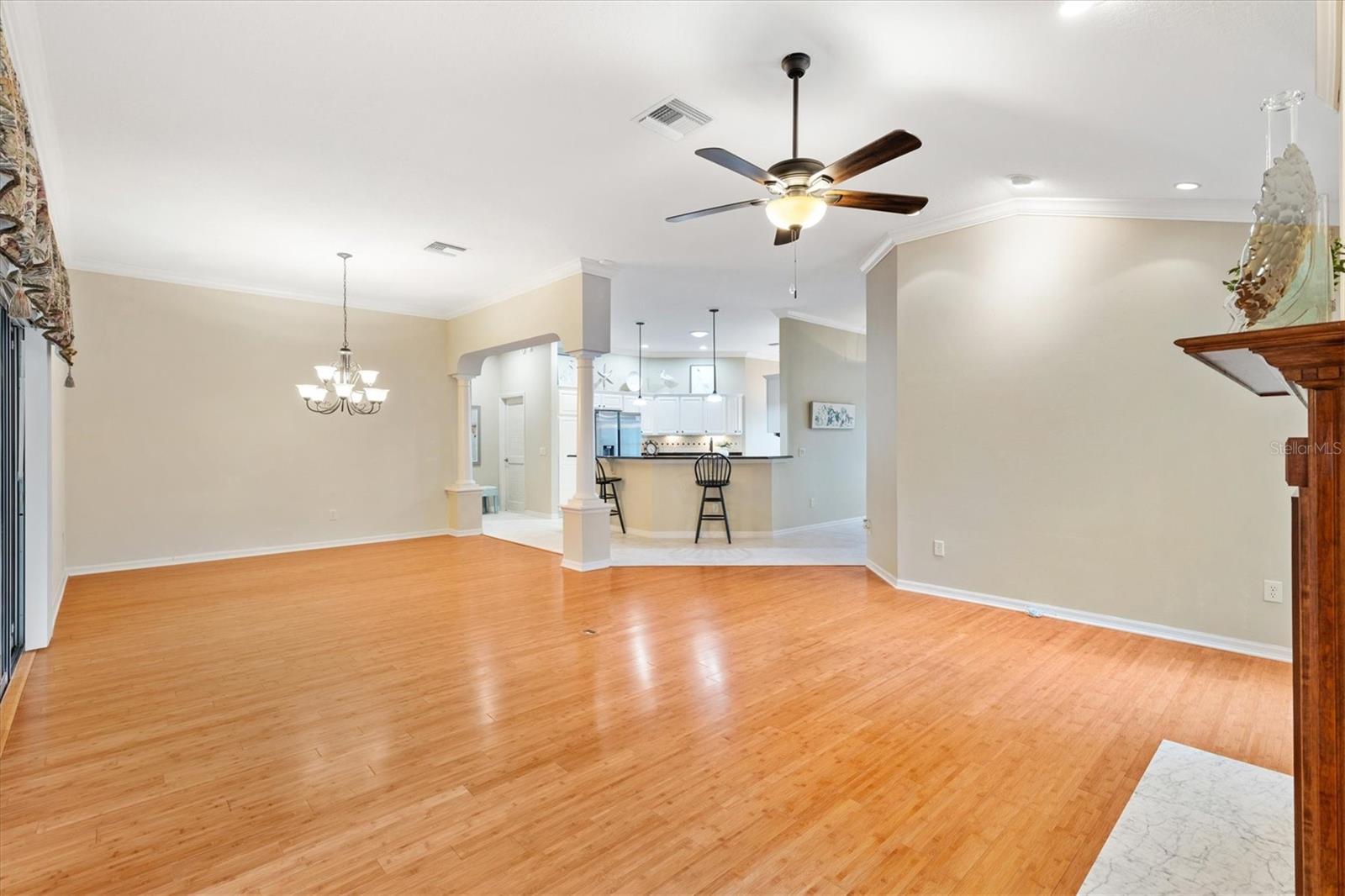 7795 SE 166TH HIBERNIA LN, THE VILLAGES, FL, 32162