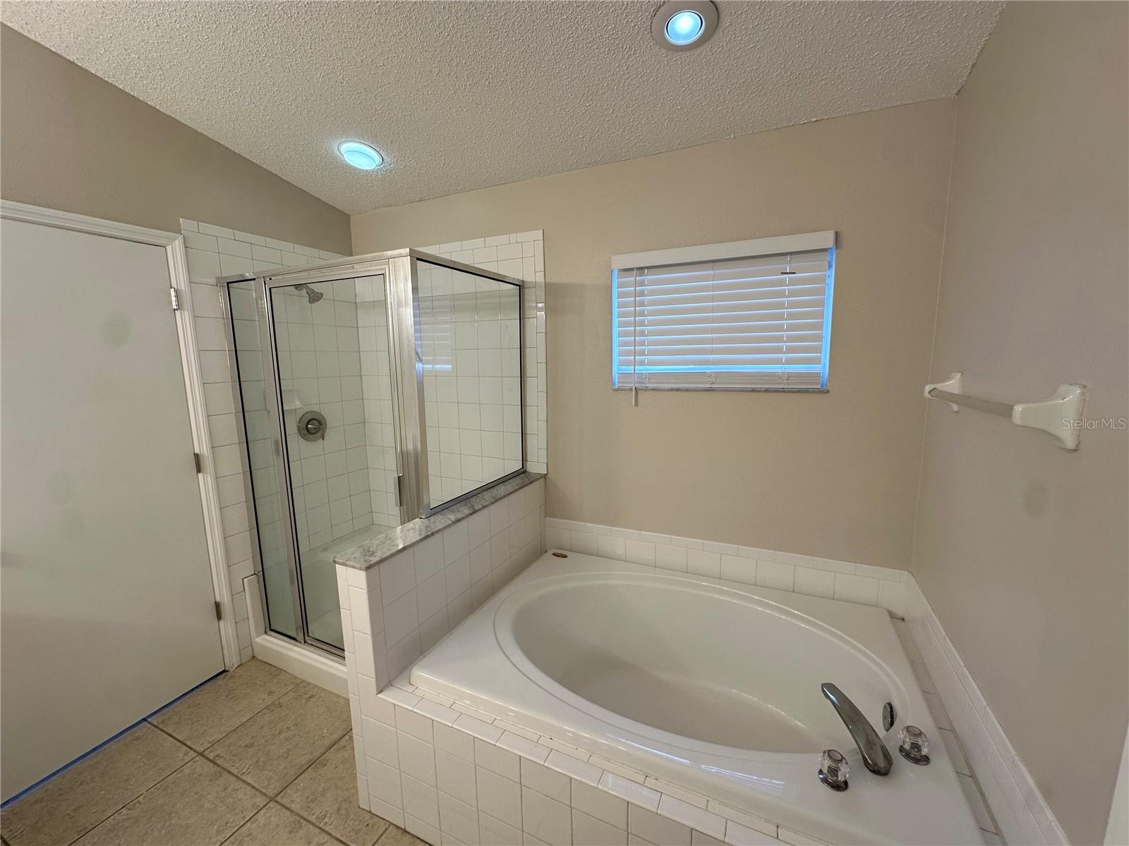 12624 EARLY RUN LN, RIVERVIEW, FL, 33578