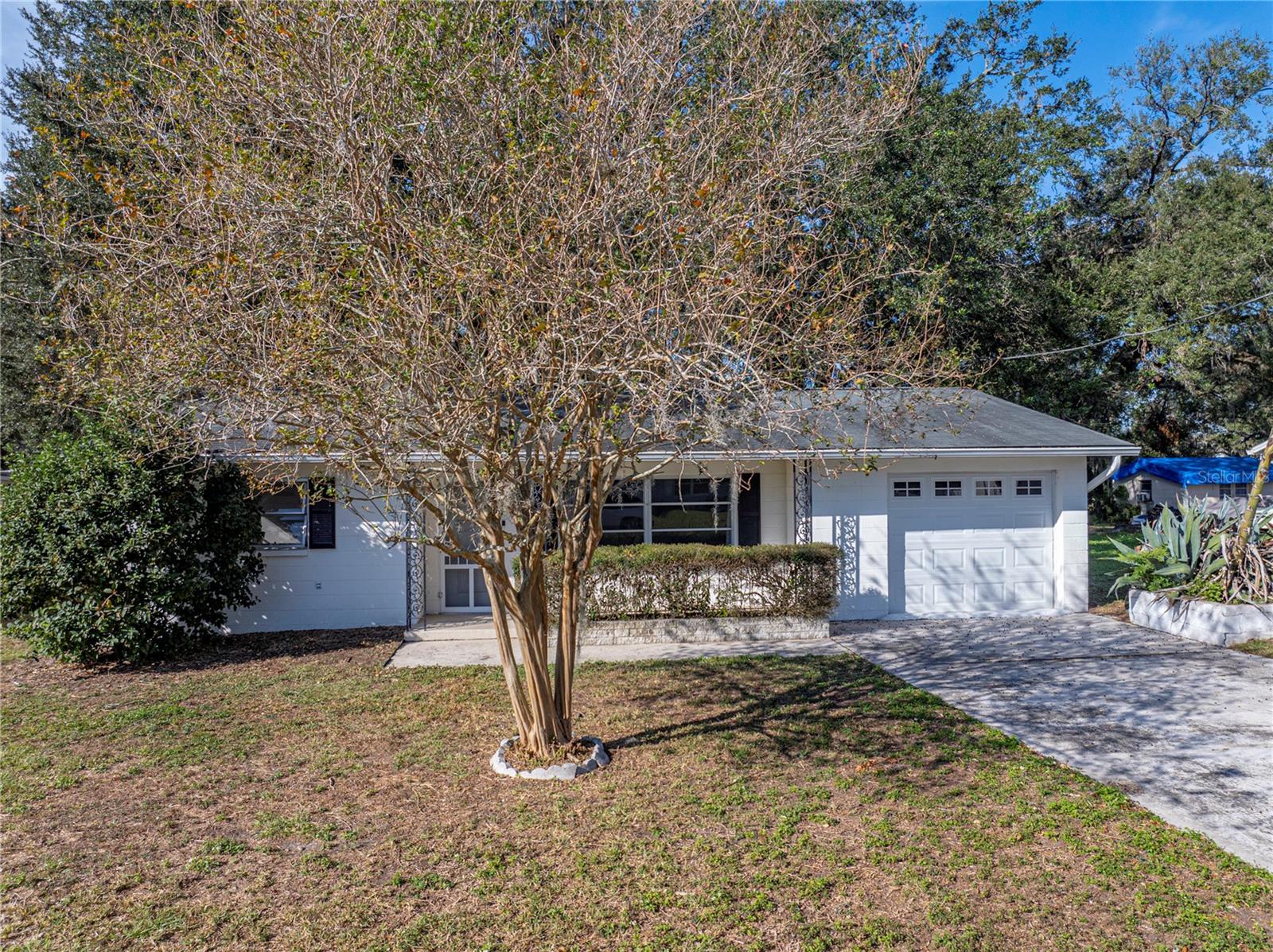 5925 WILSON DR, ZEPHYRHILLS, FL, 33542
