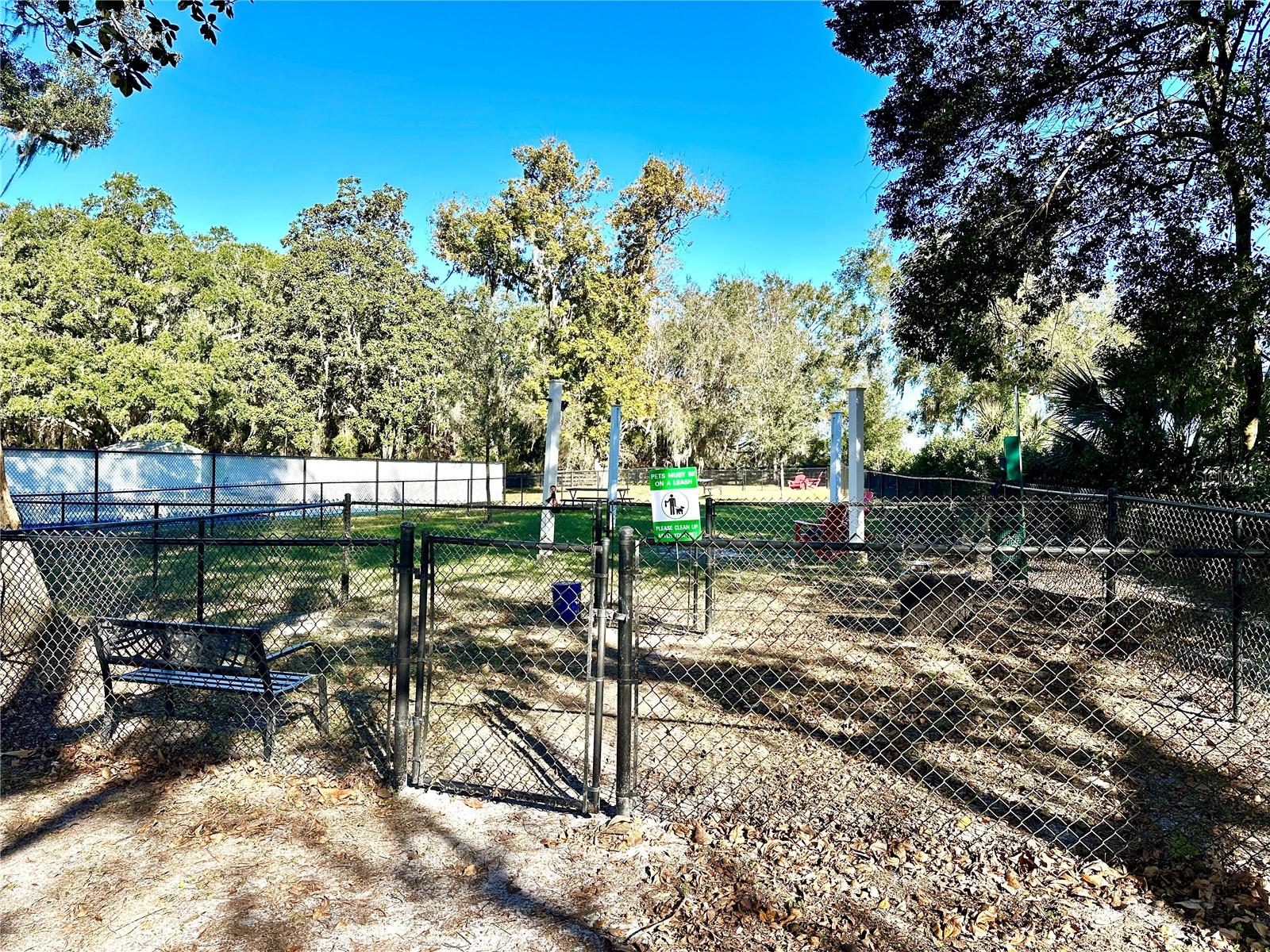 3623 UMBRELLA TREE LN, OXFORD, FL, 34484