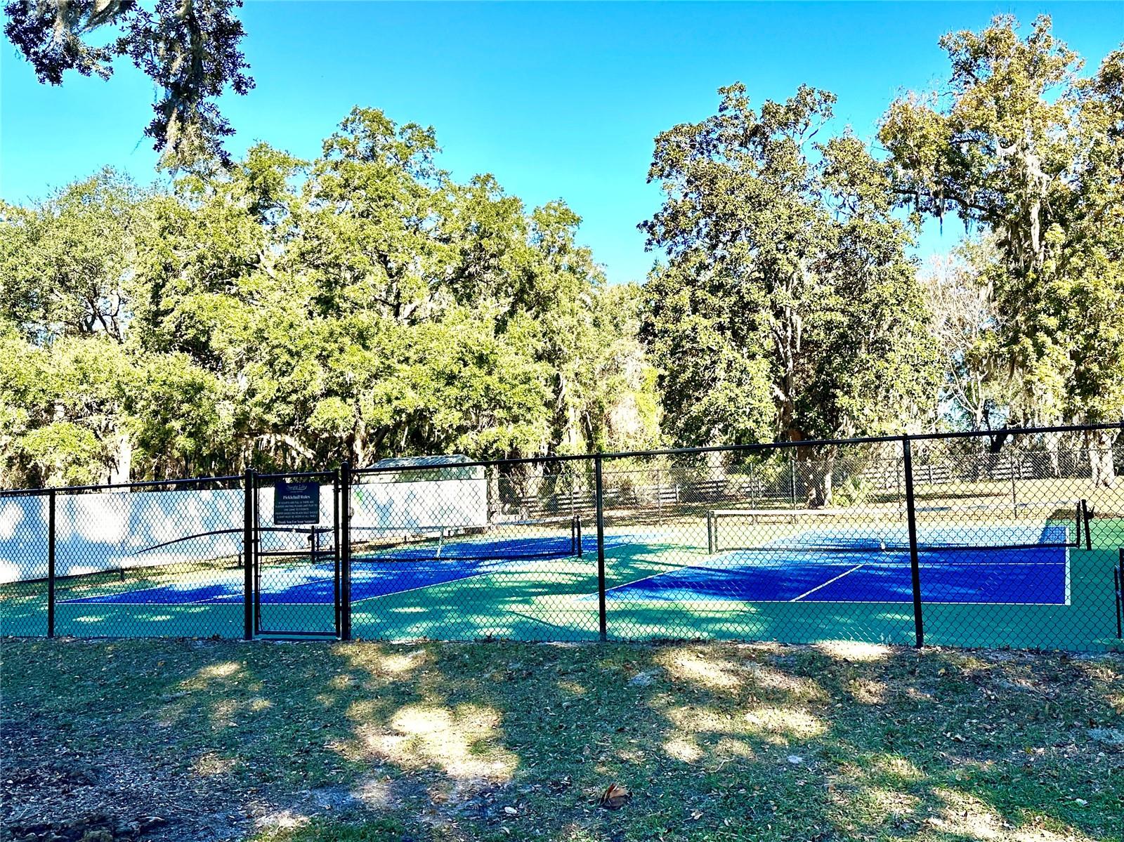 3623 UMBRELLA TREE LN, OXFORD, FL, 34484
