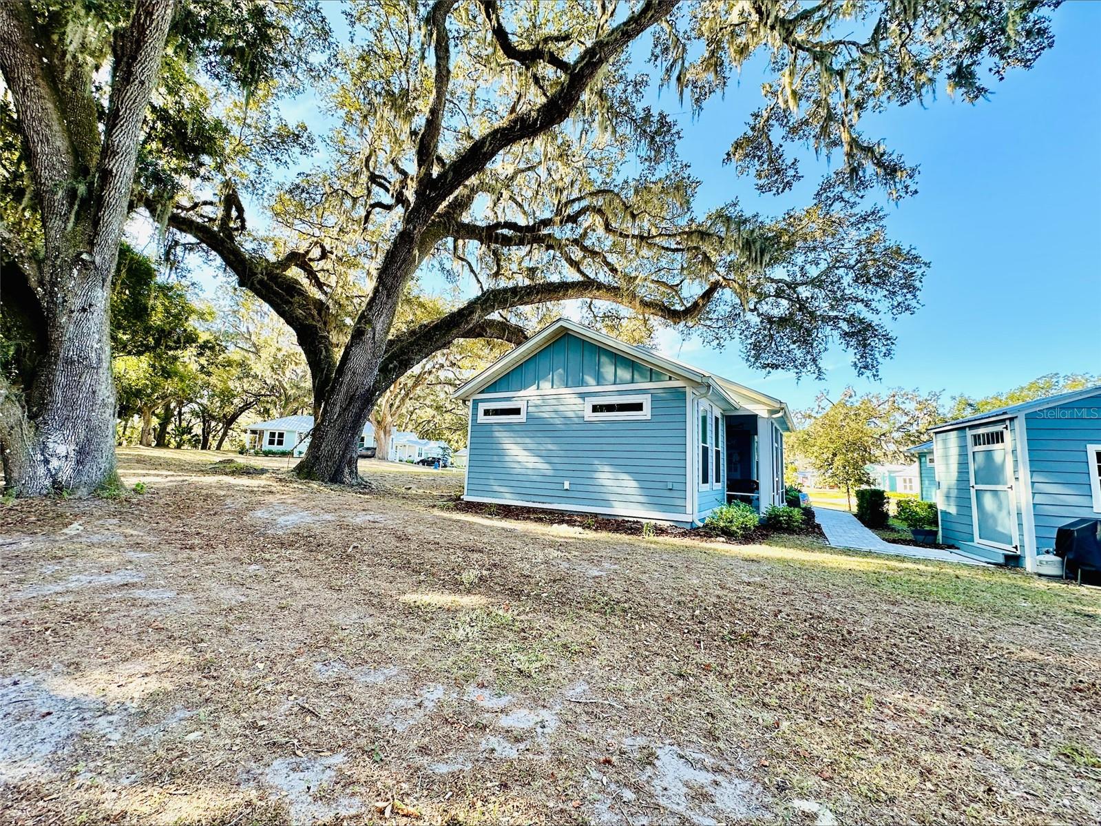 3623 UMBRELLA TREE LN, OXFORD, FL, 34484