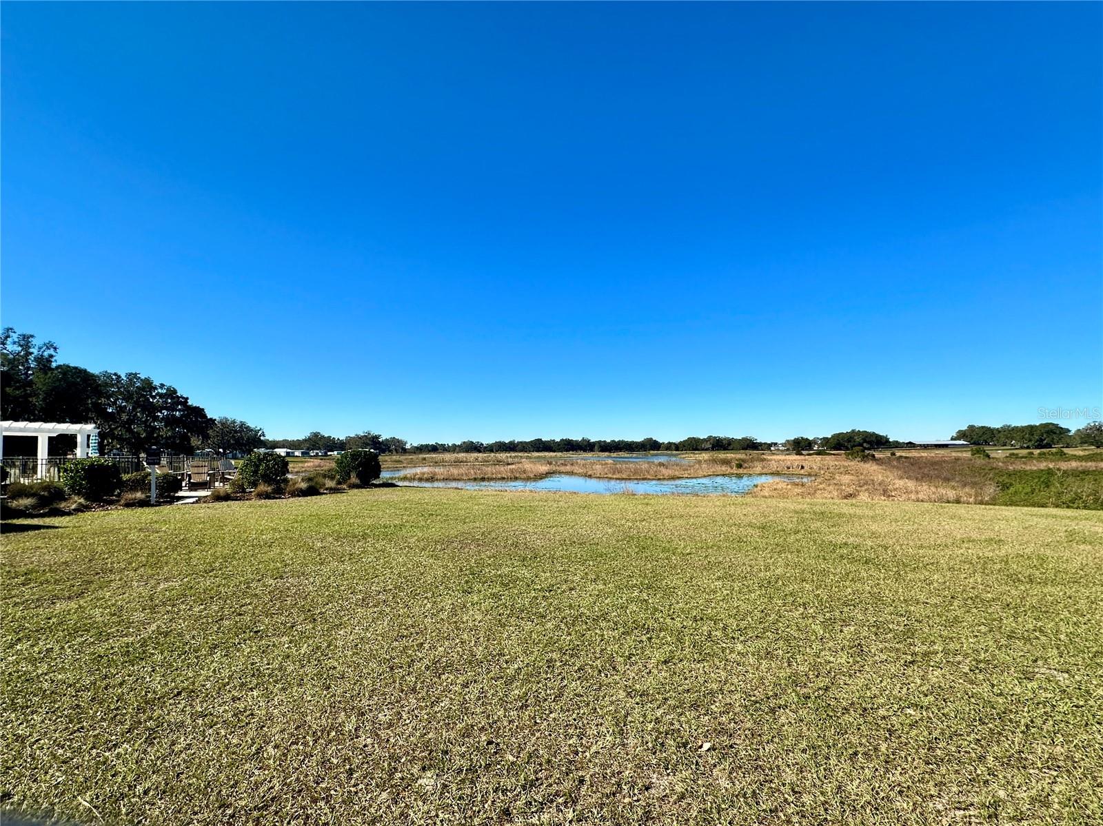 3623 UMBRELLA TREE LN, OXFORD, FL, 34484