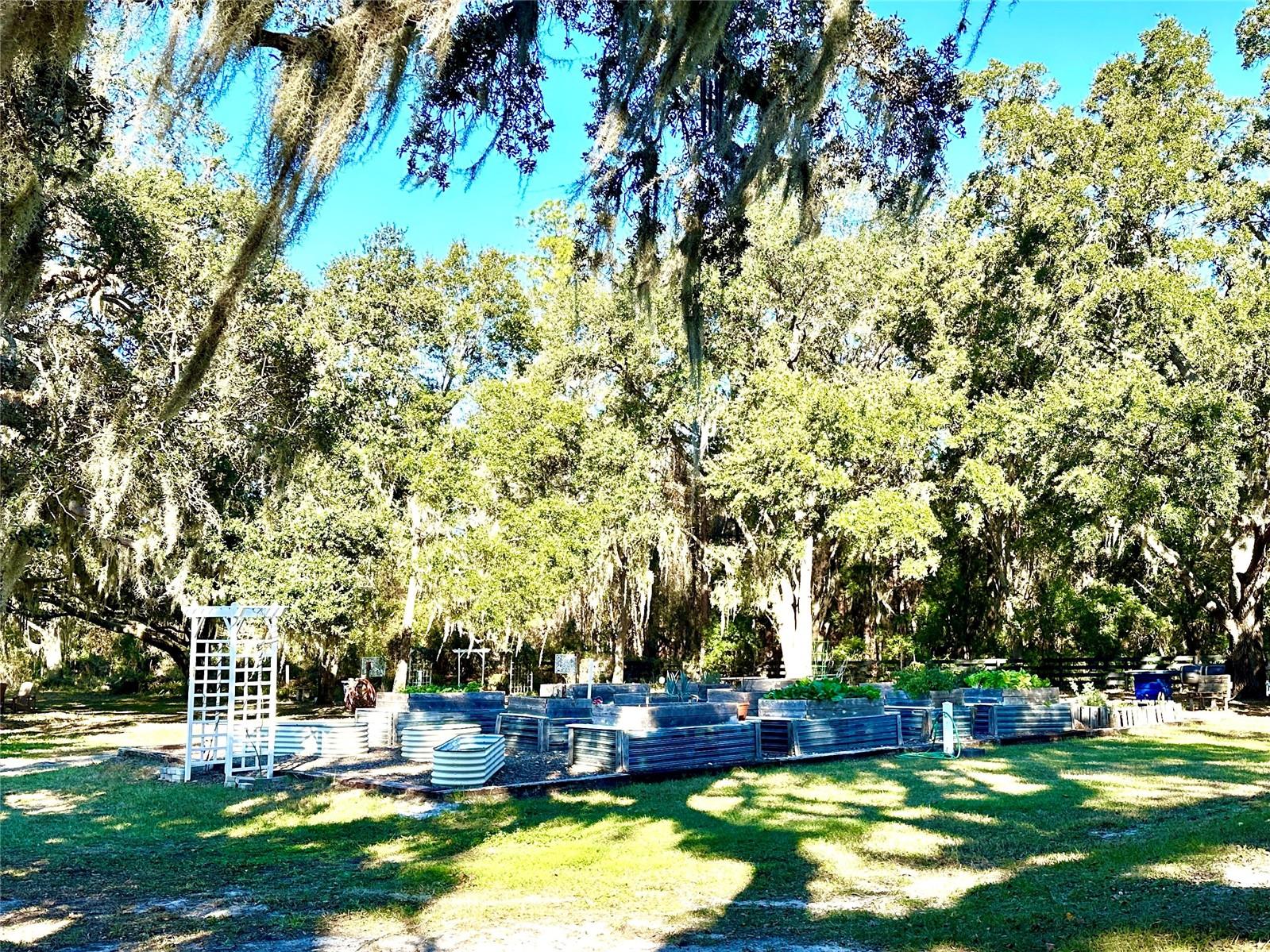 3623 UMBRELLA TREE LN, OXFORD, FL, 34484