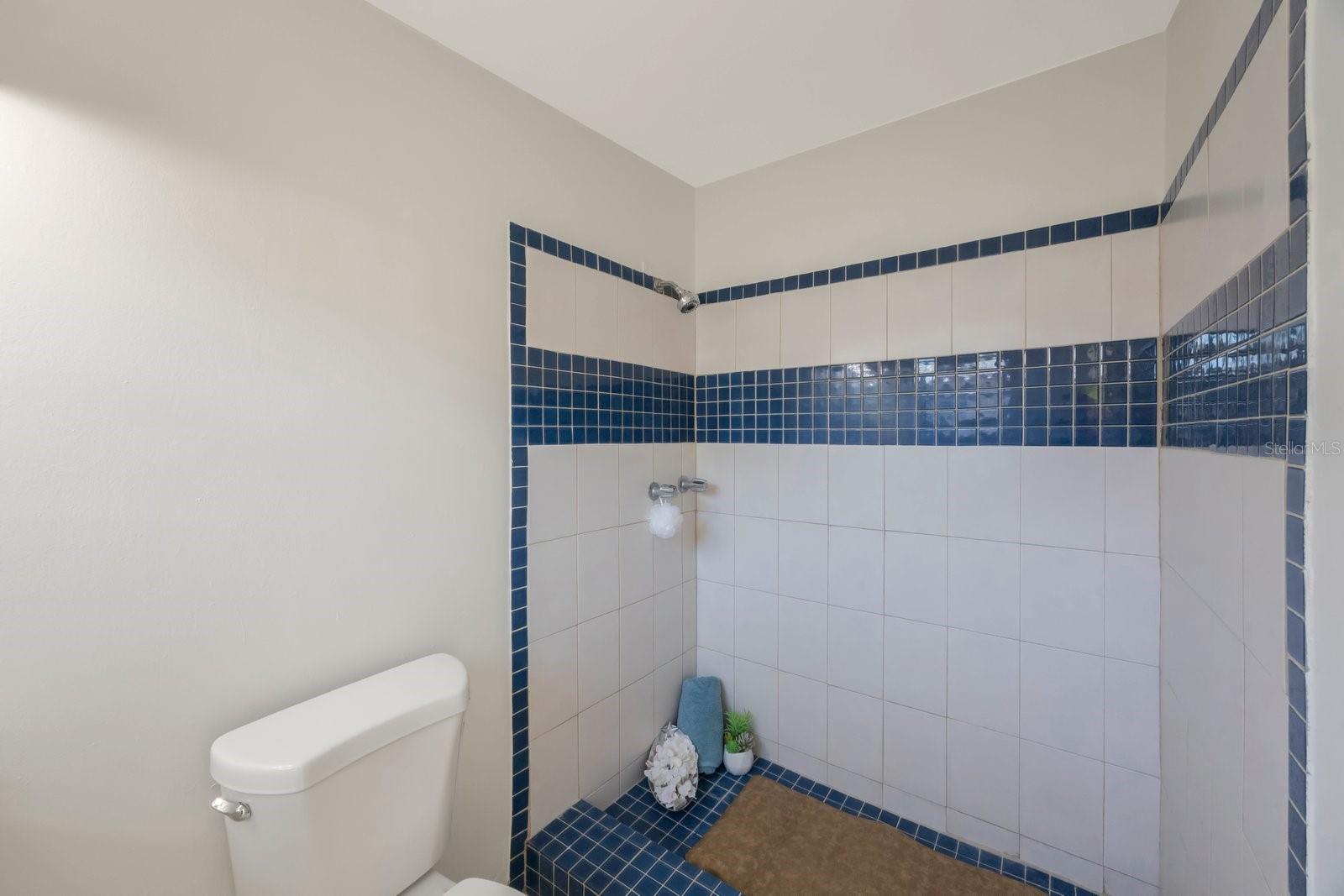 2434 18TH AVE N, ST PETERSBURG, FL, 33713