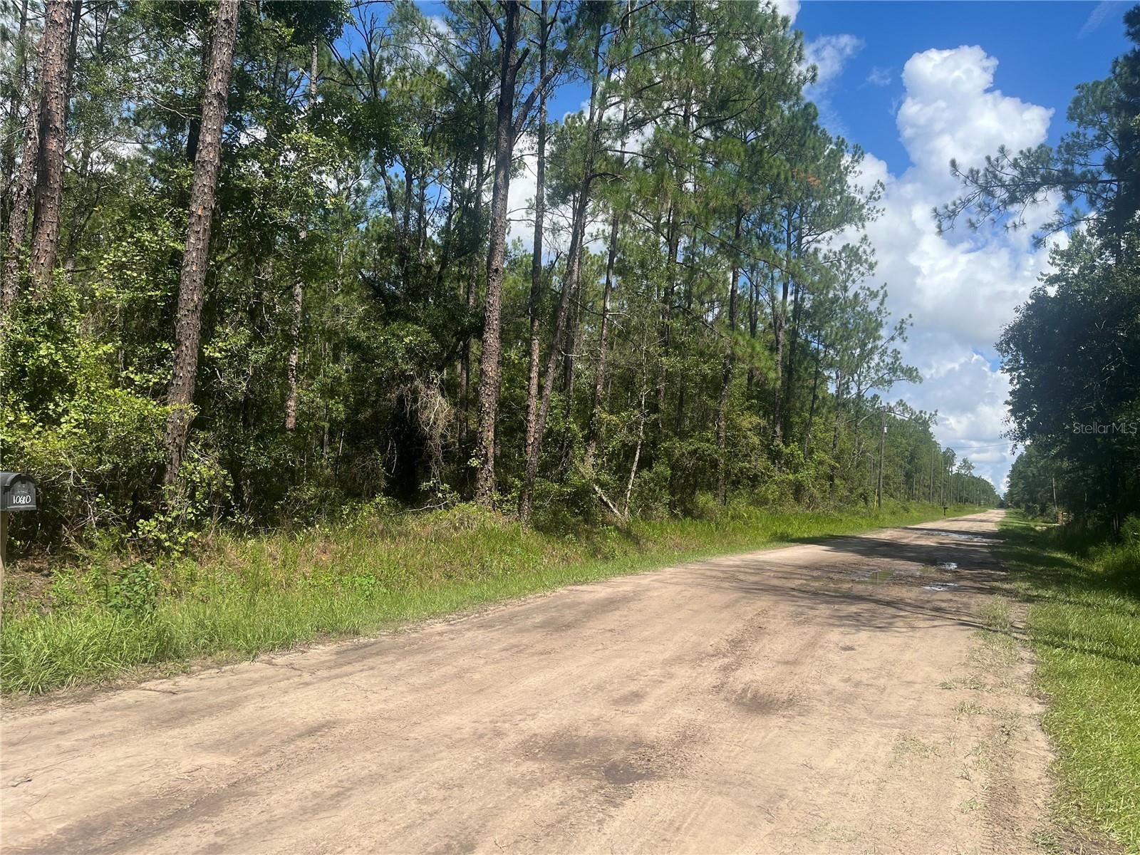 10680 DELGADO AVE, HASTINGS, FL, 32145