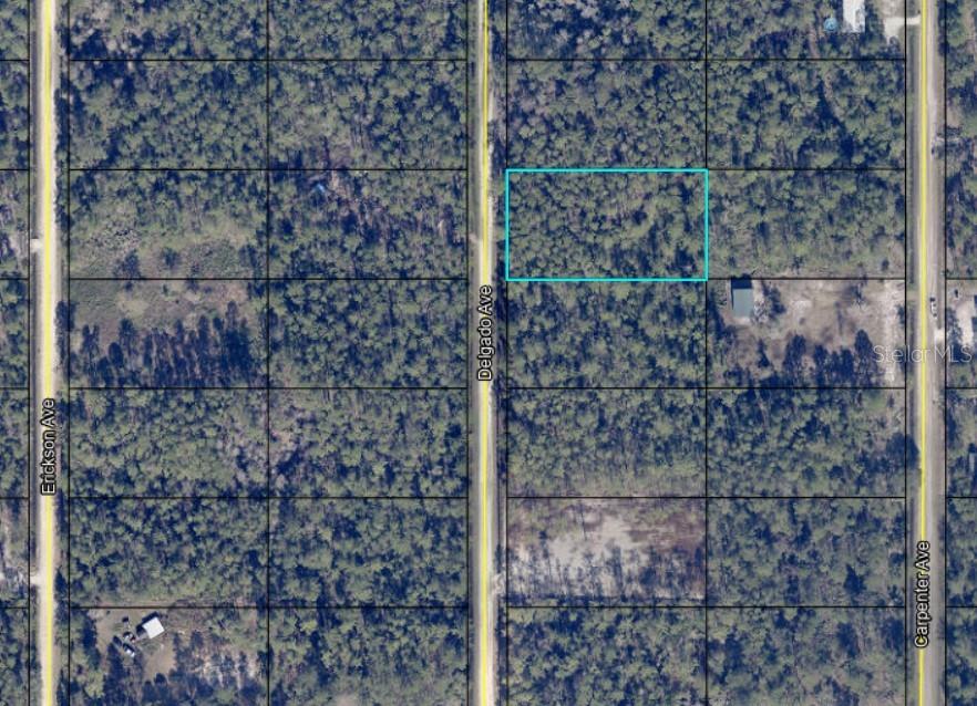 10680 DELGADO AVE, HASTINGS, FL, 32145