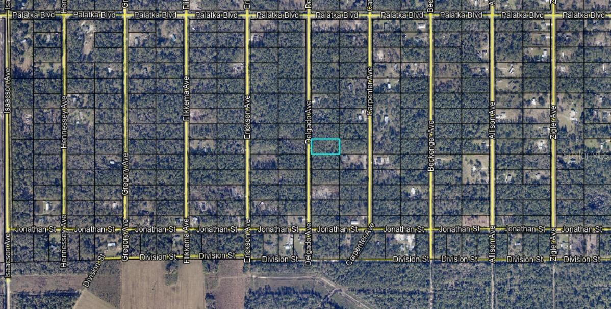 10680 DELGADO AVE, HASTINGS, FL, 32145