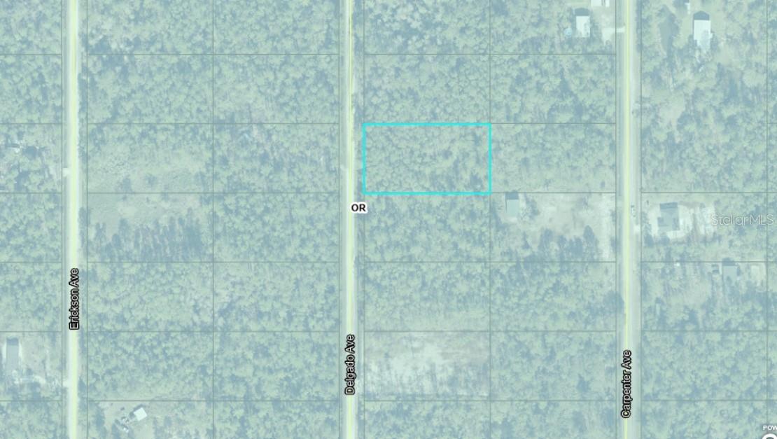 10680 DELGADO AVE, HASTINGS, FL, 32145