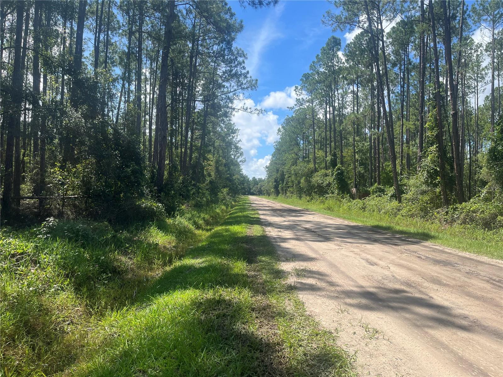 10680 DELGADO AVE, HASTINGS, FL, 32145