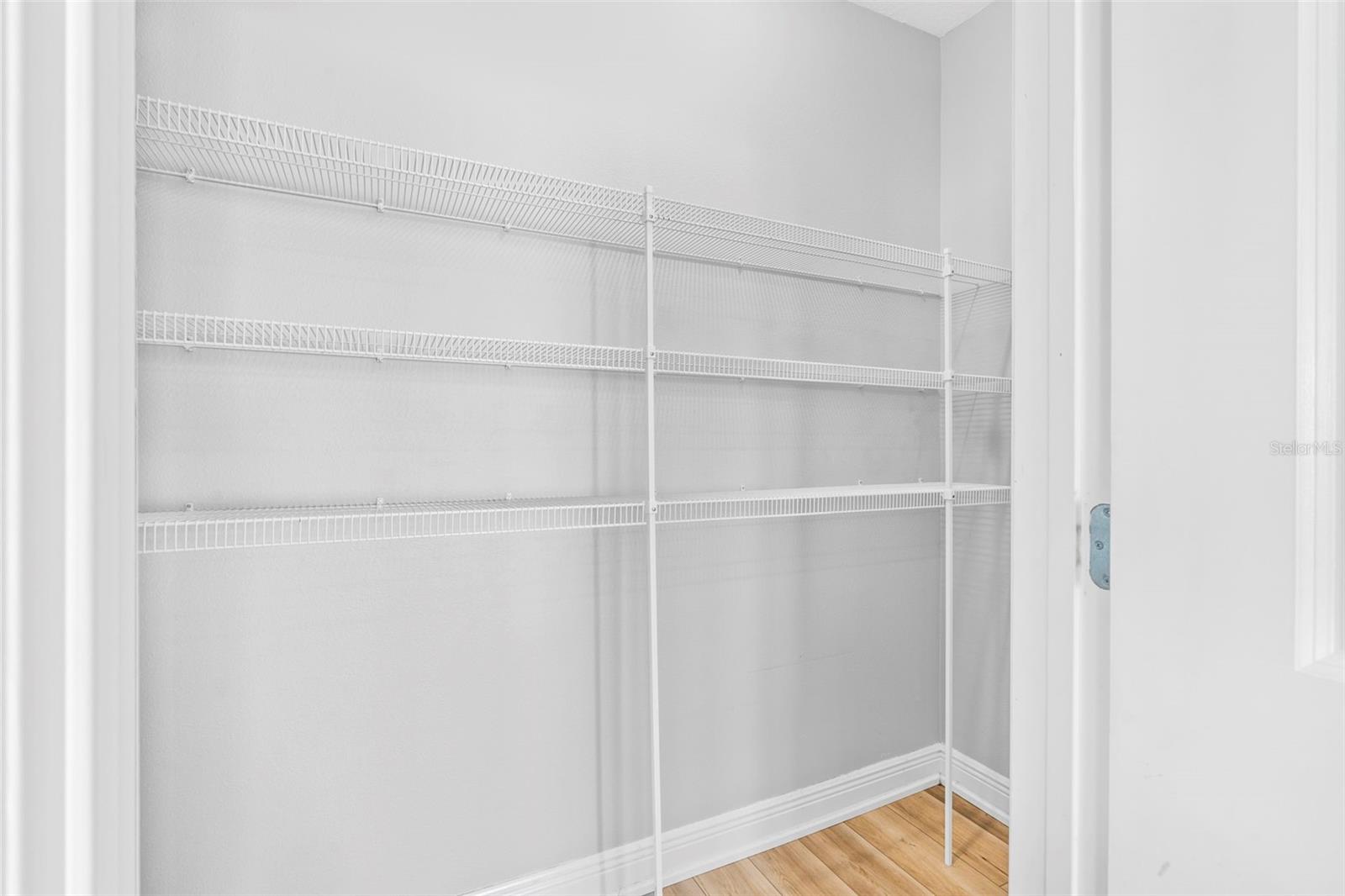 32627 ABBY LAX LN, WESLEY CHAPEL, FL, 33543