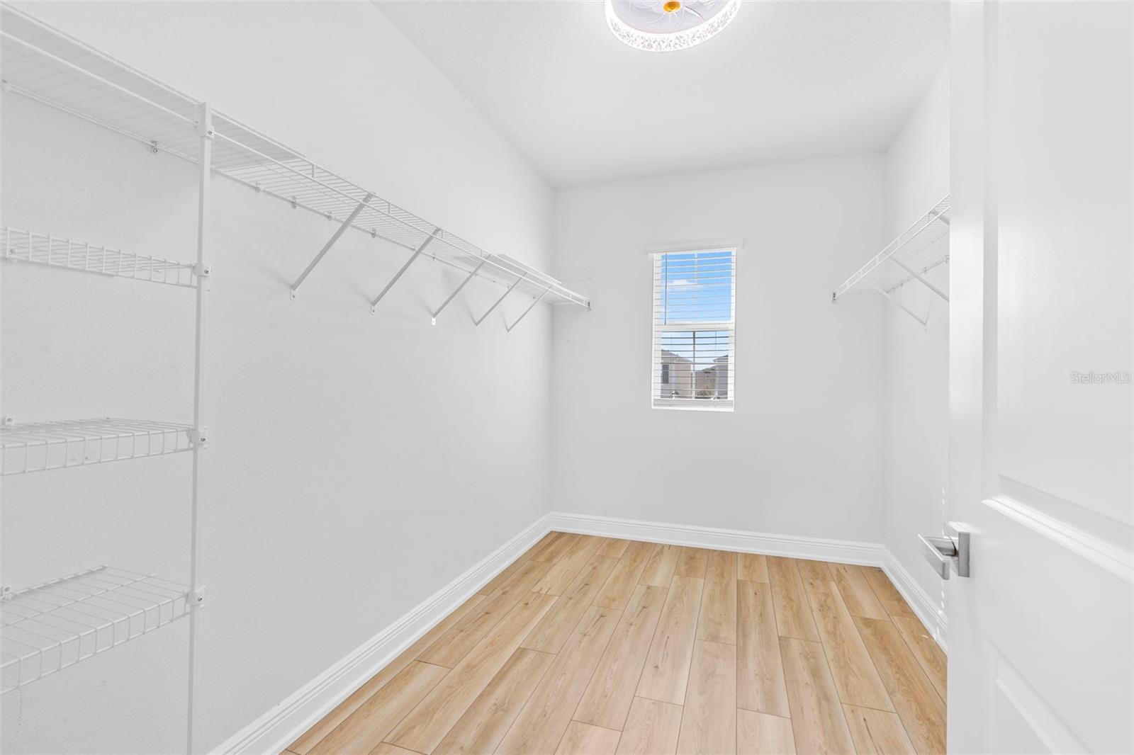 32627 ABBY LAX LN, WESLEY CHAPEL, FL, 33543