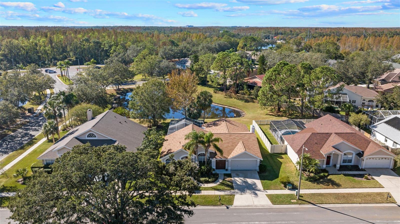 9151 ROCKROSE DR, TAMPA, FL, 33647