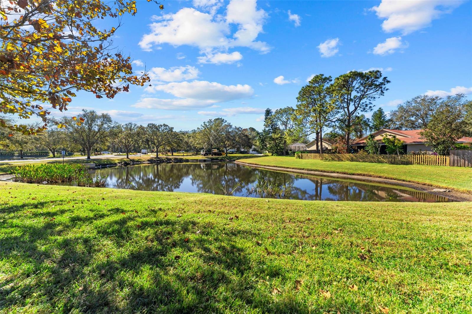 9151 ROCKROSE DR, TAMPA, FL, 33647