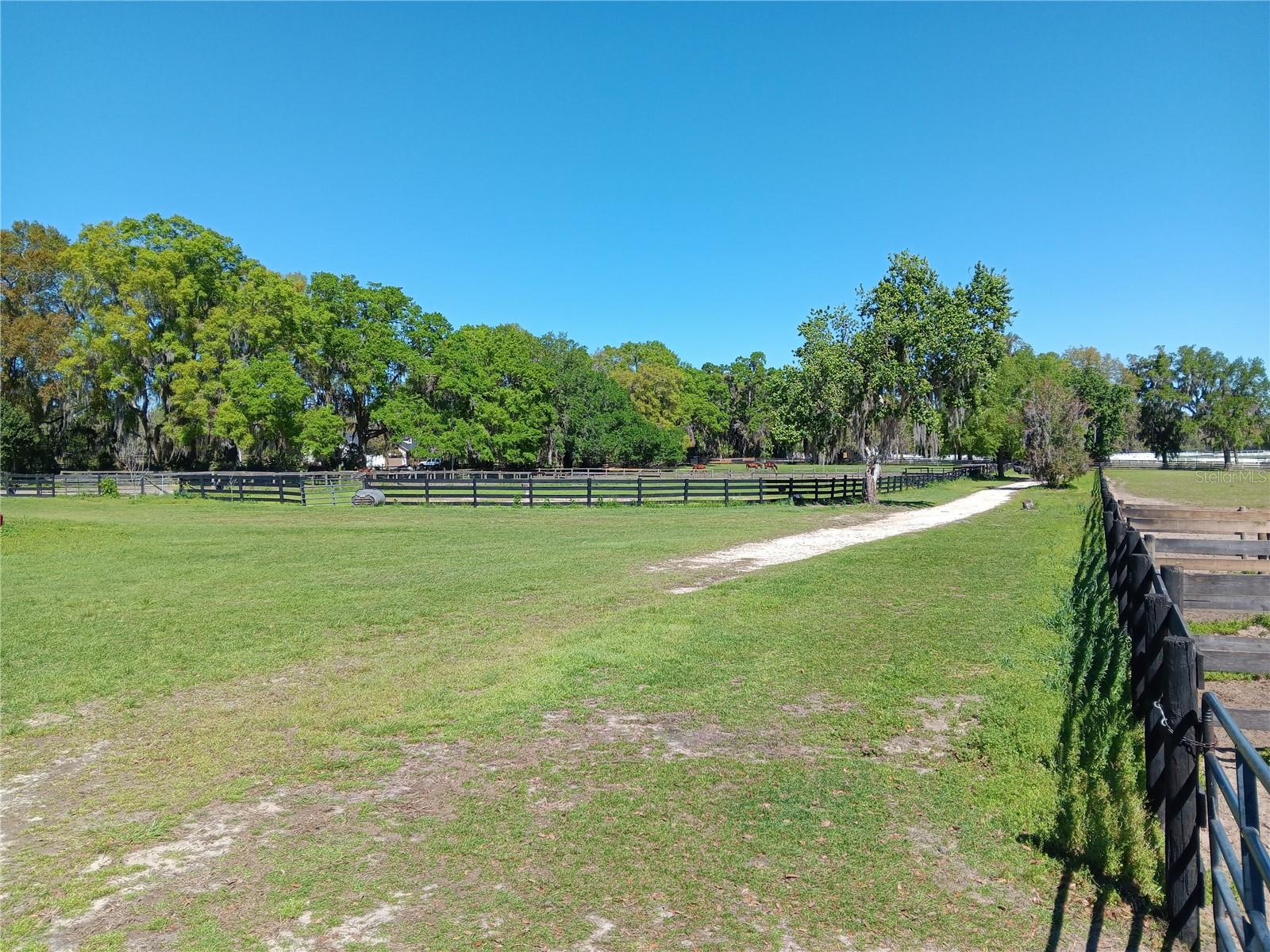 2630 NW 140TH ST, CITRA, FL, 32113