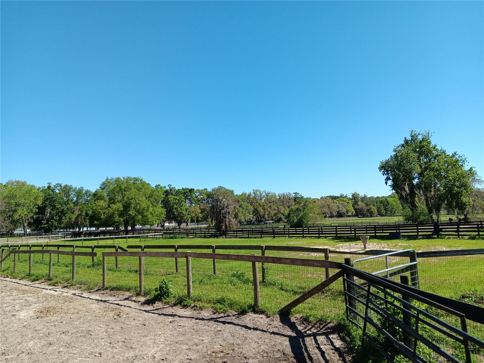 2630 NW 140TH ST, CITRA, FL, 32113