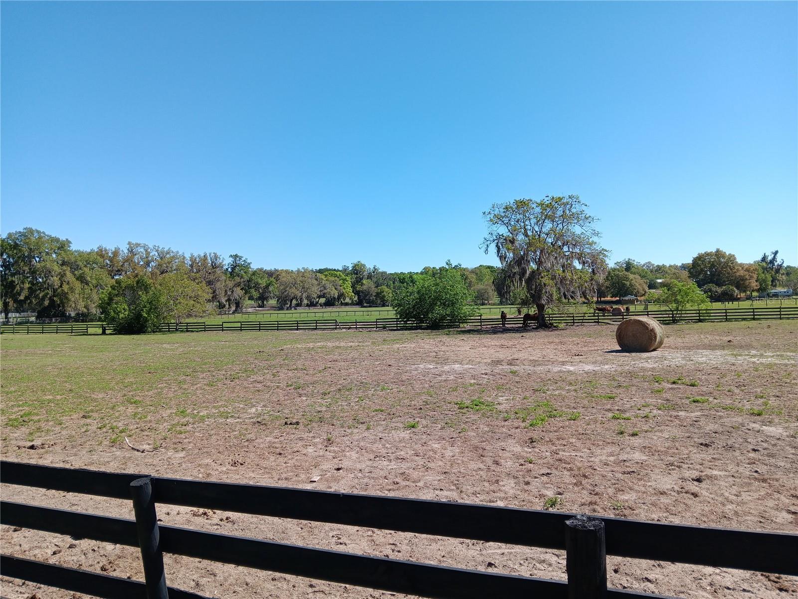 2630 NW 140TH ST, CITRA, FL, 32113