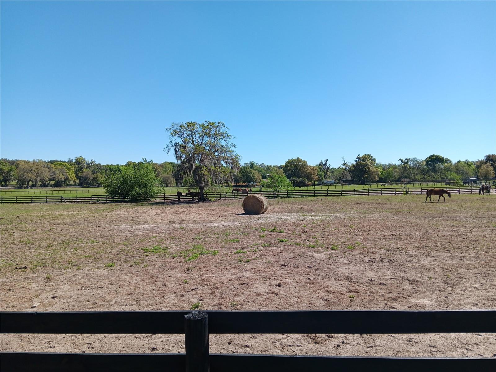 2630 NW 140TH ST, CITRA, FL, 32113