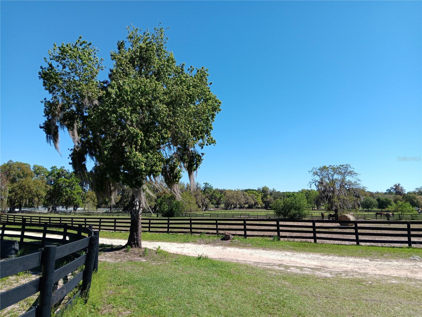 2630 NW 140TH ST, CITRA, FL, 32113