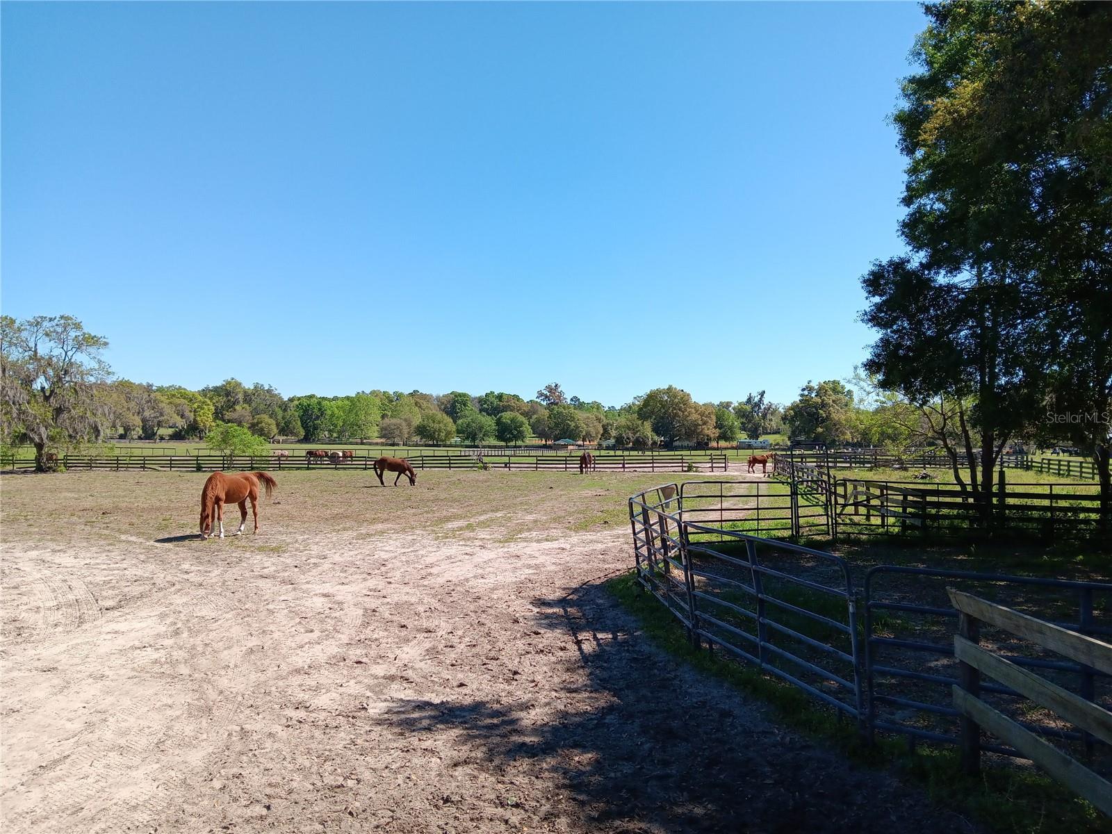 2630 NW 140TH ST, CITRA, FL, 32113