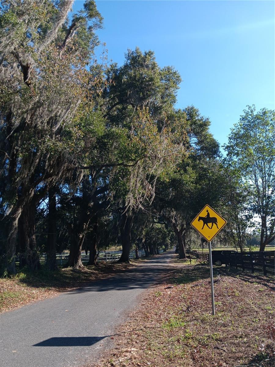 2630 NW 140TH ST, CITRA, FL, 32113