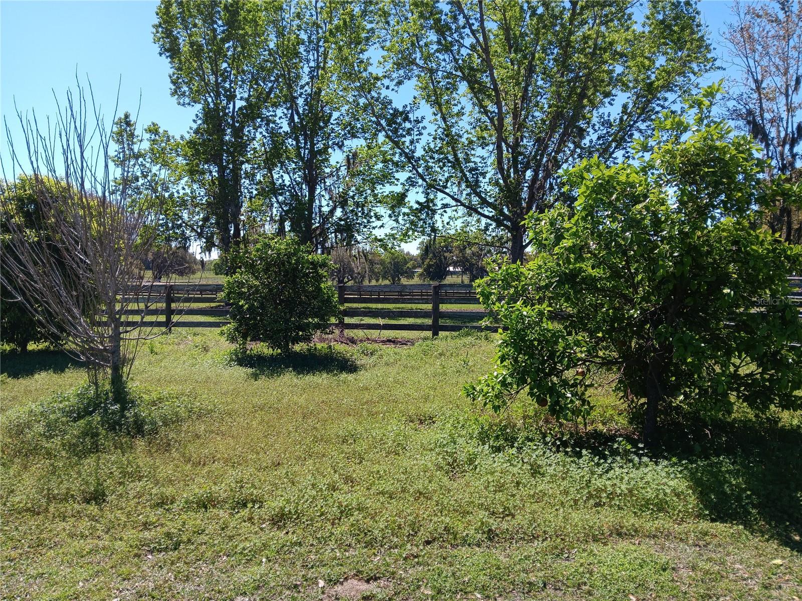 2630 NW 140TH ST, CITRA, FL, 32113