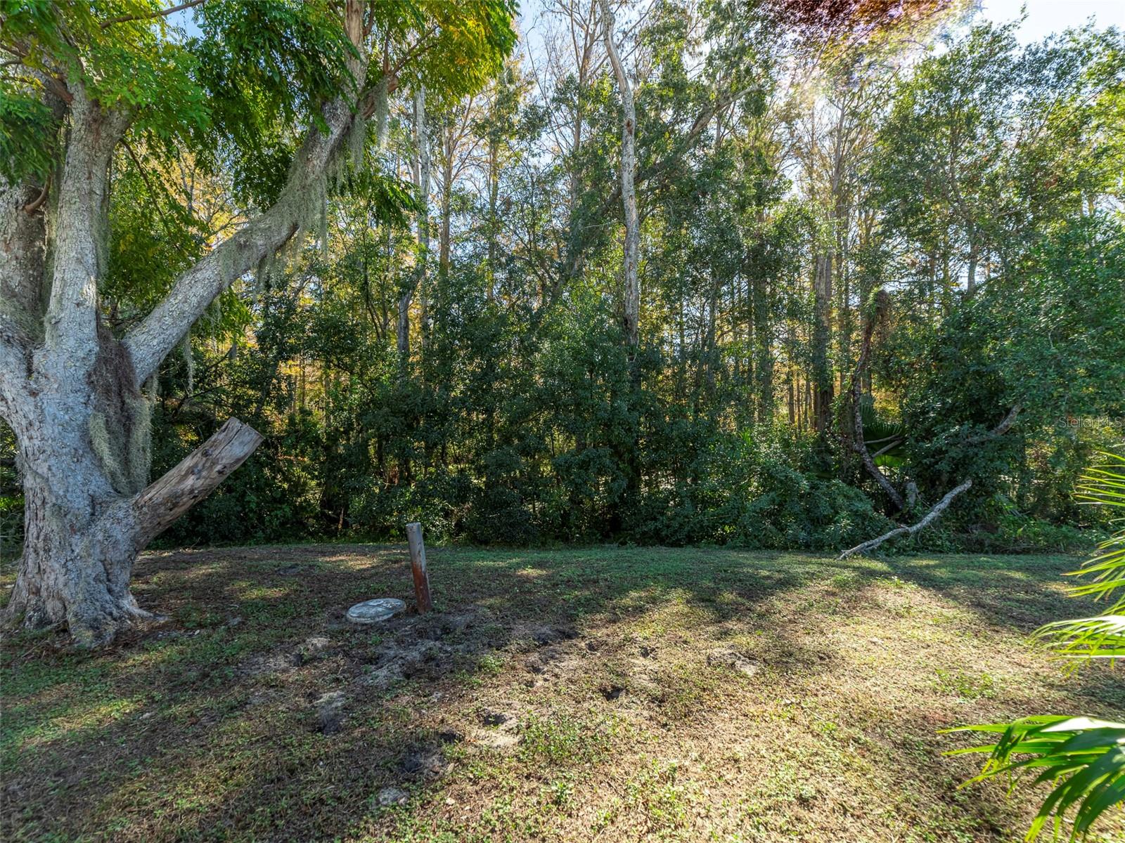 12114 CLEARBROOK LN, HUDSON, FL, 34667