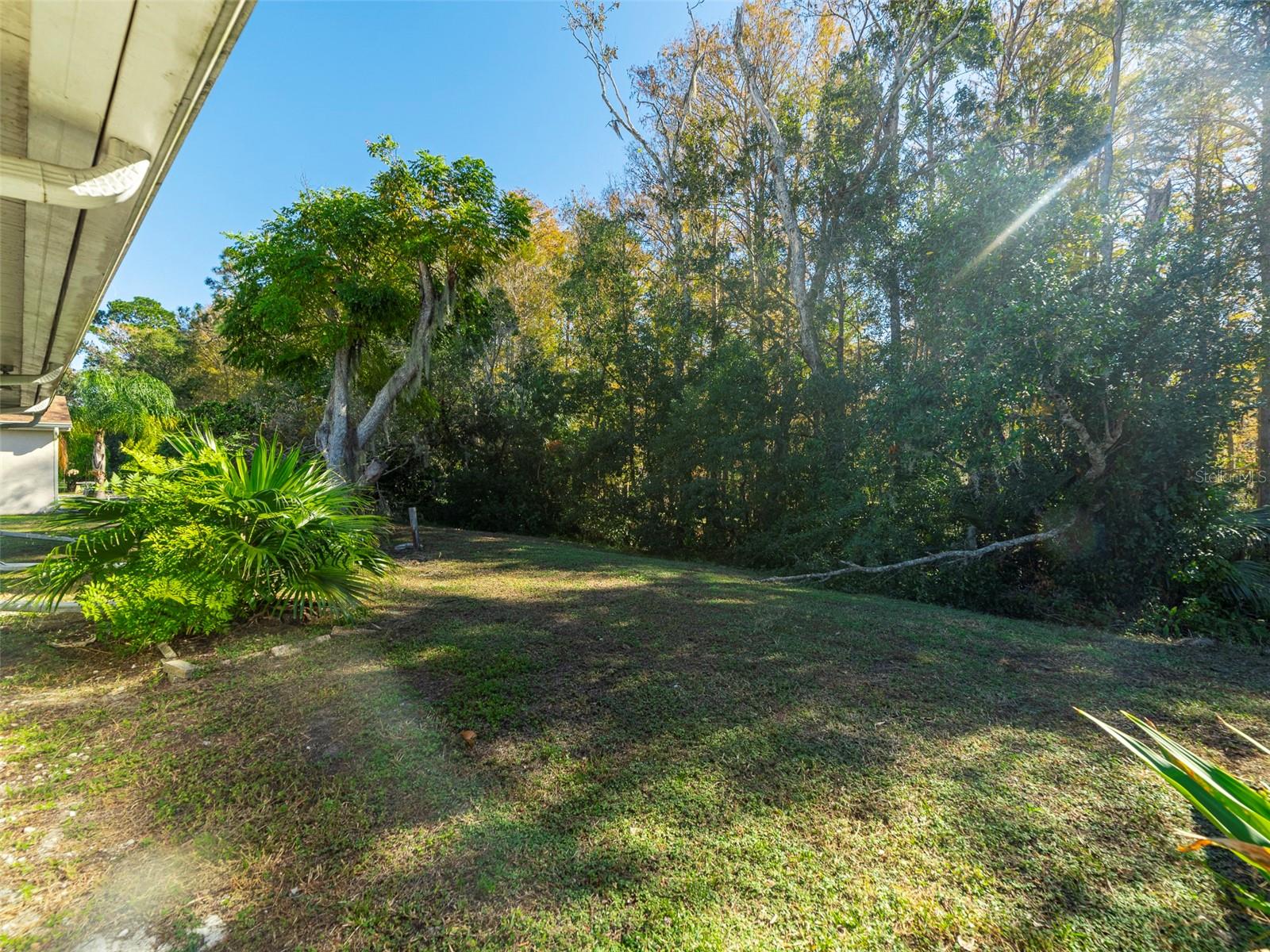 12114 CLEARBROOK LN, HUDSON, FL, 34667