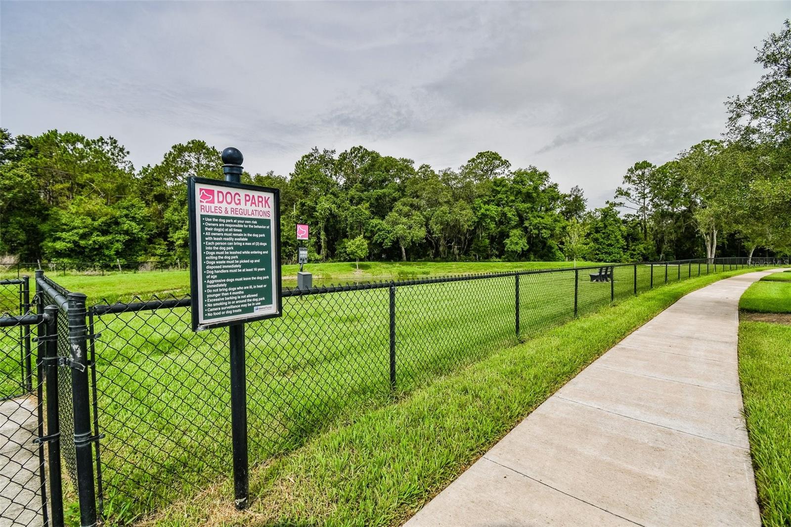 7139 STEER BLADE DR, ZEPHYRHILLS, FL, 33541