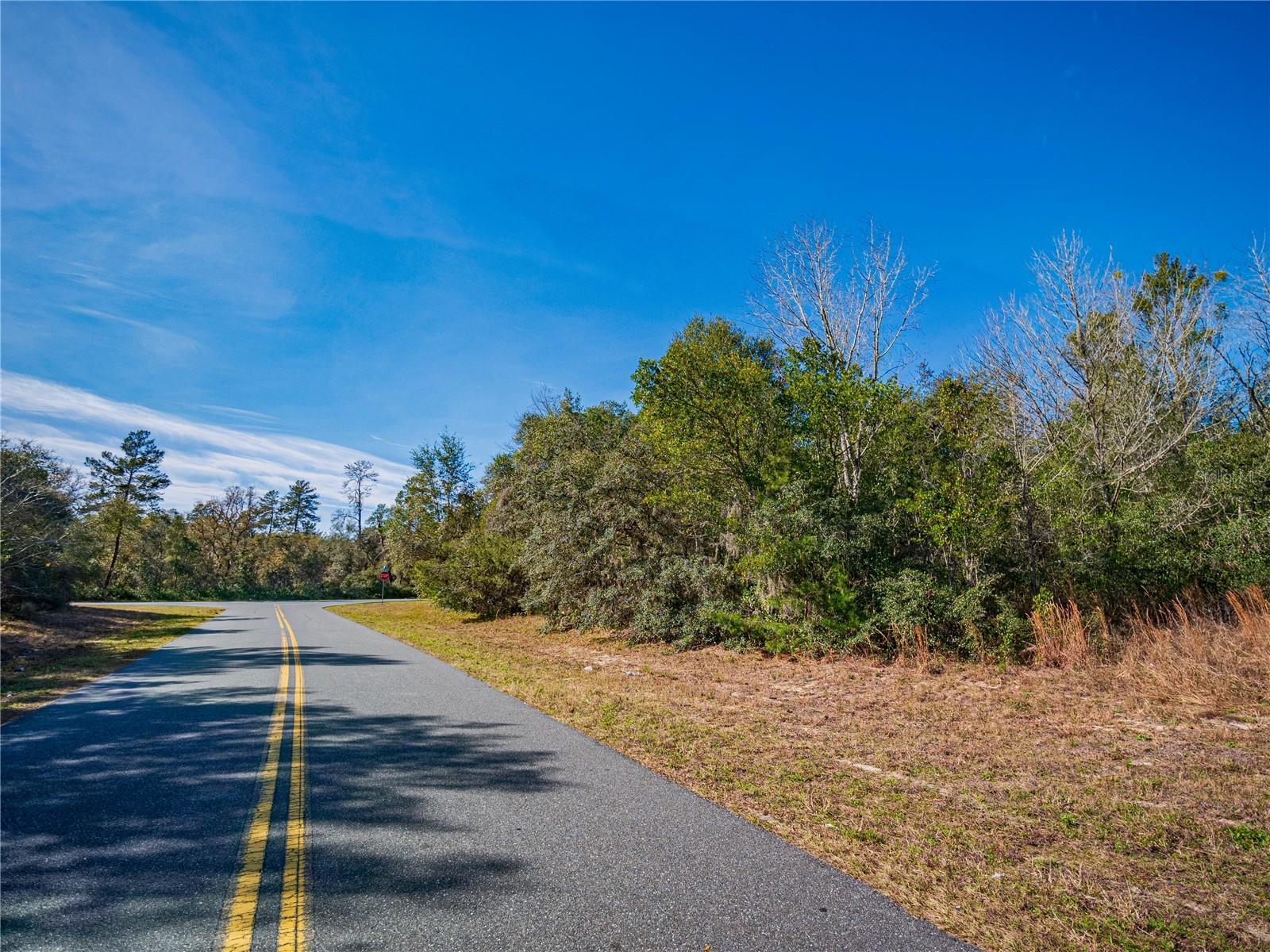 SW 36TH AVENUE RD, OCALA, FL, 34473