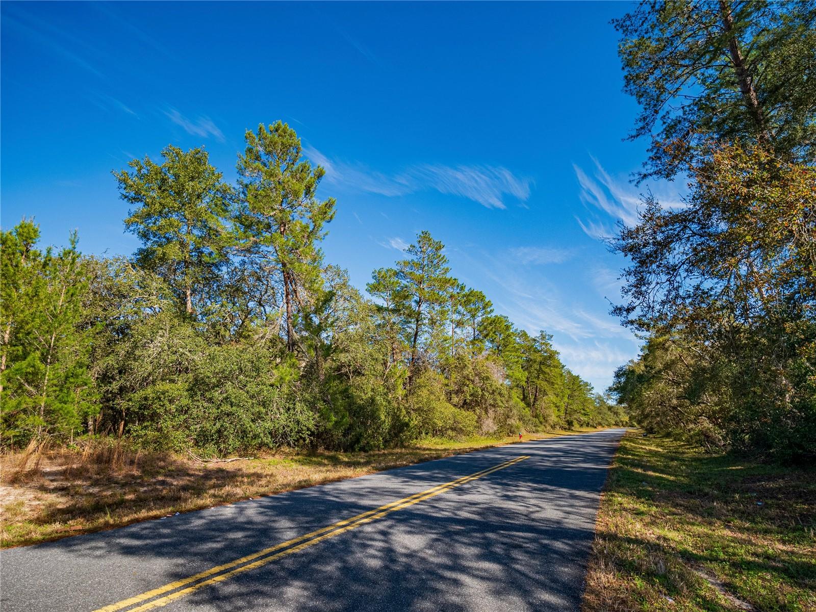 SW 36TH AVENUE RD, OCALA, FL, 34473