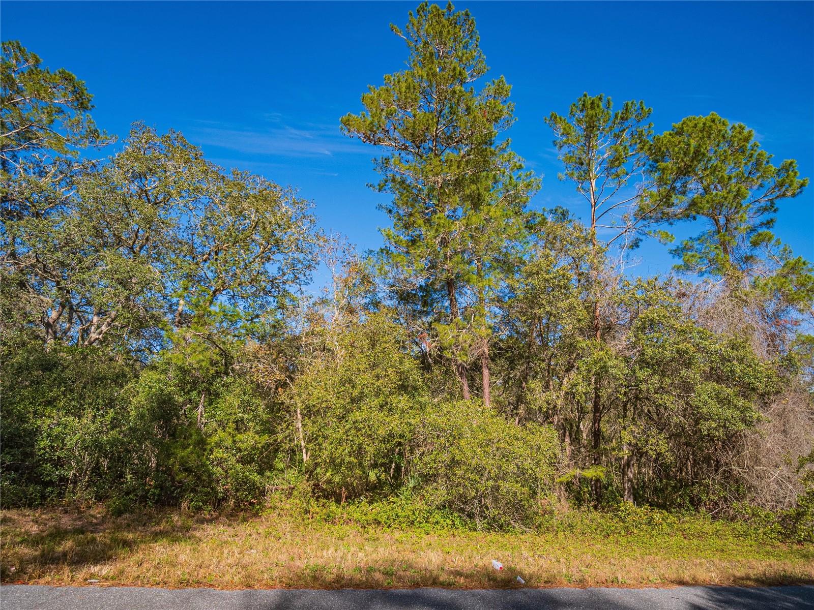 SW 36TH AVENUE RD, OCALA, FL, 34473