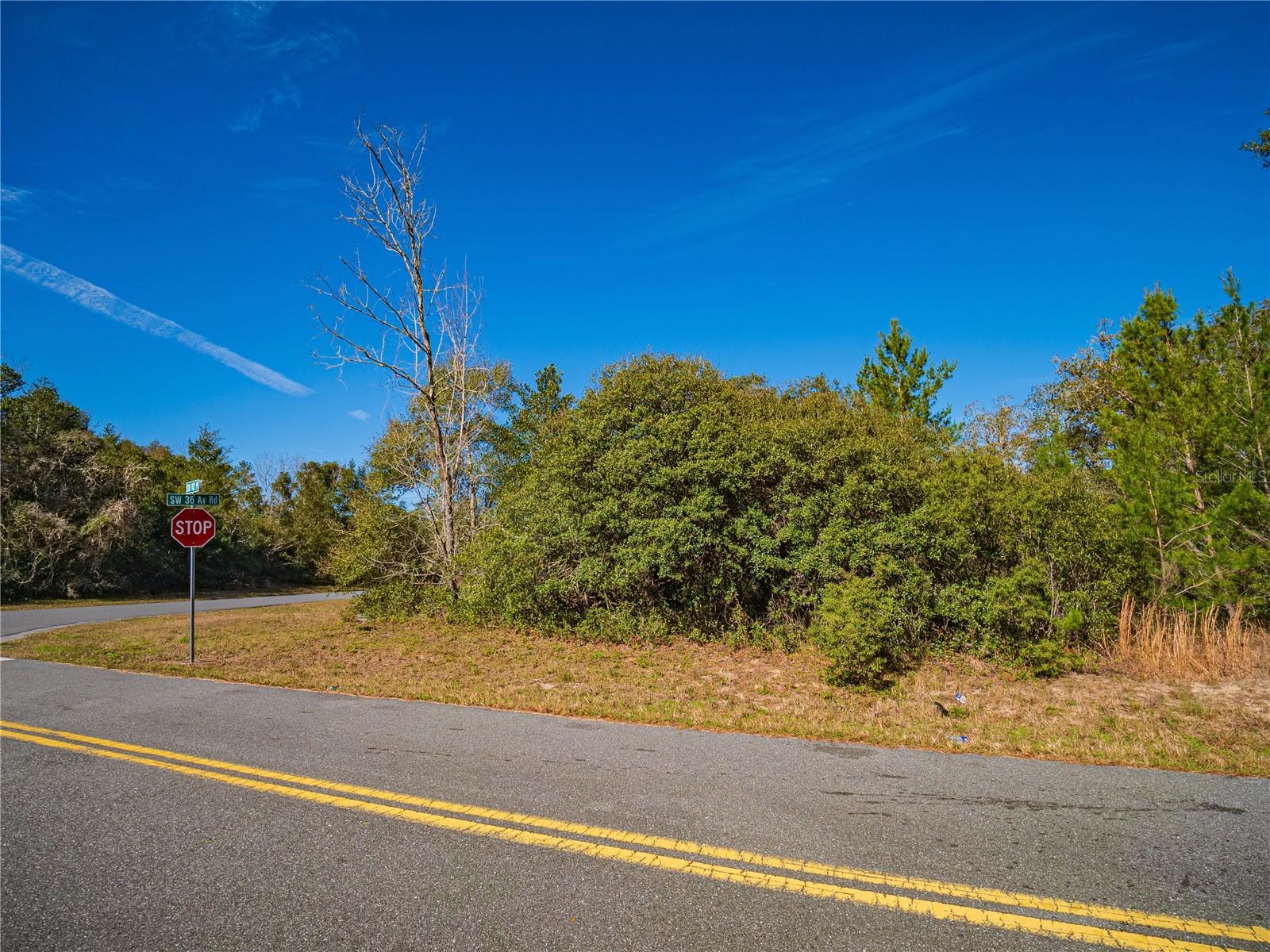 SW 36TH AVENUE RD, OCALA, FL, 34473