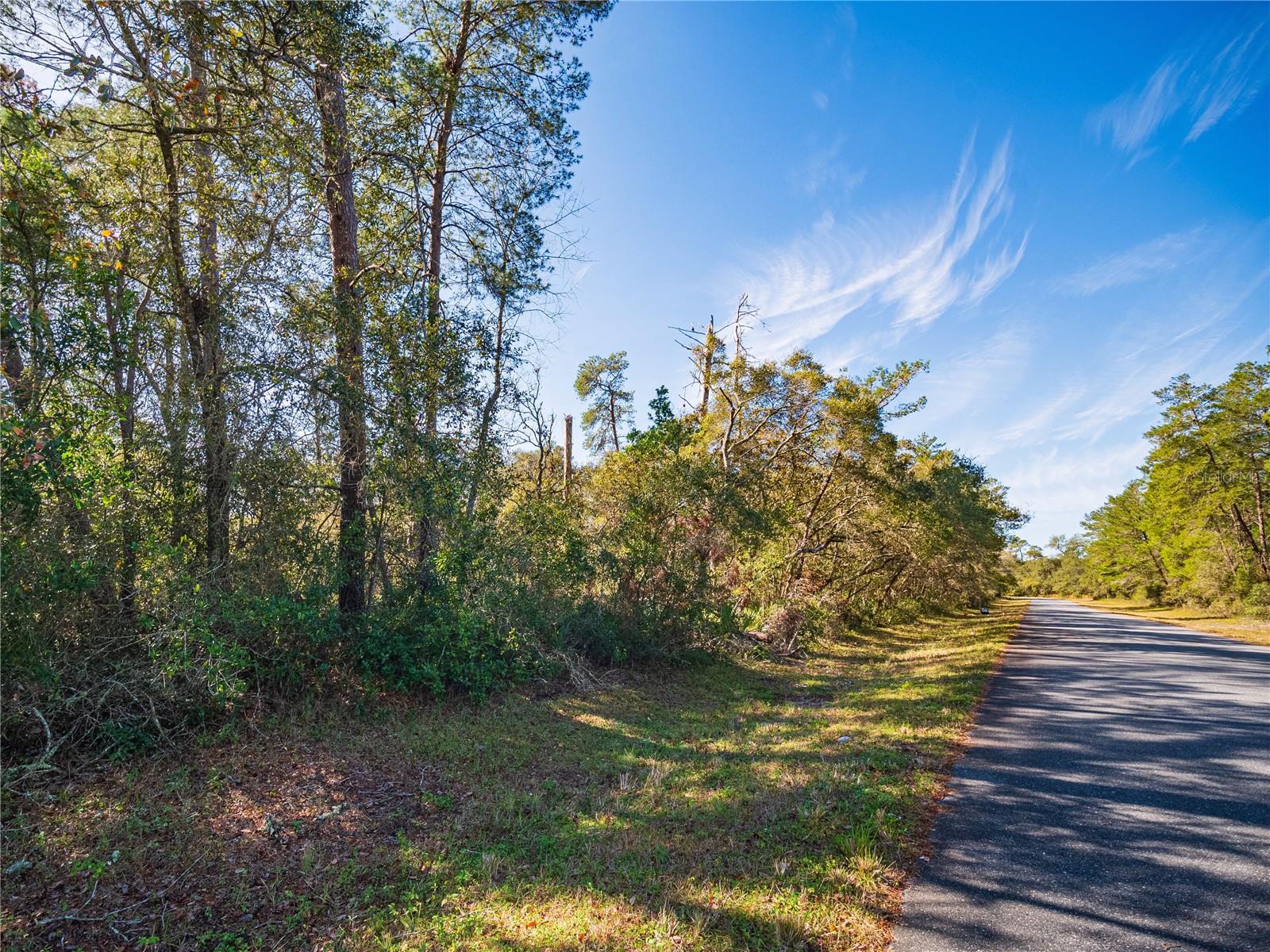 SW 36TH AVENUE RD, OCALA, FL, 34473