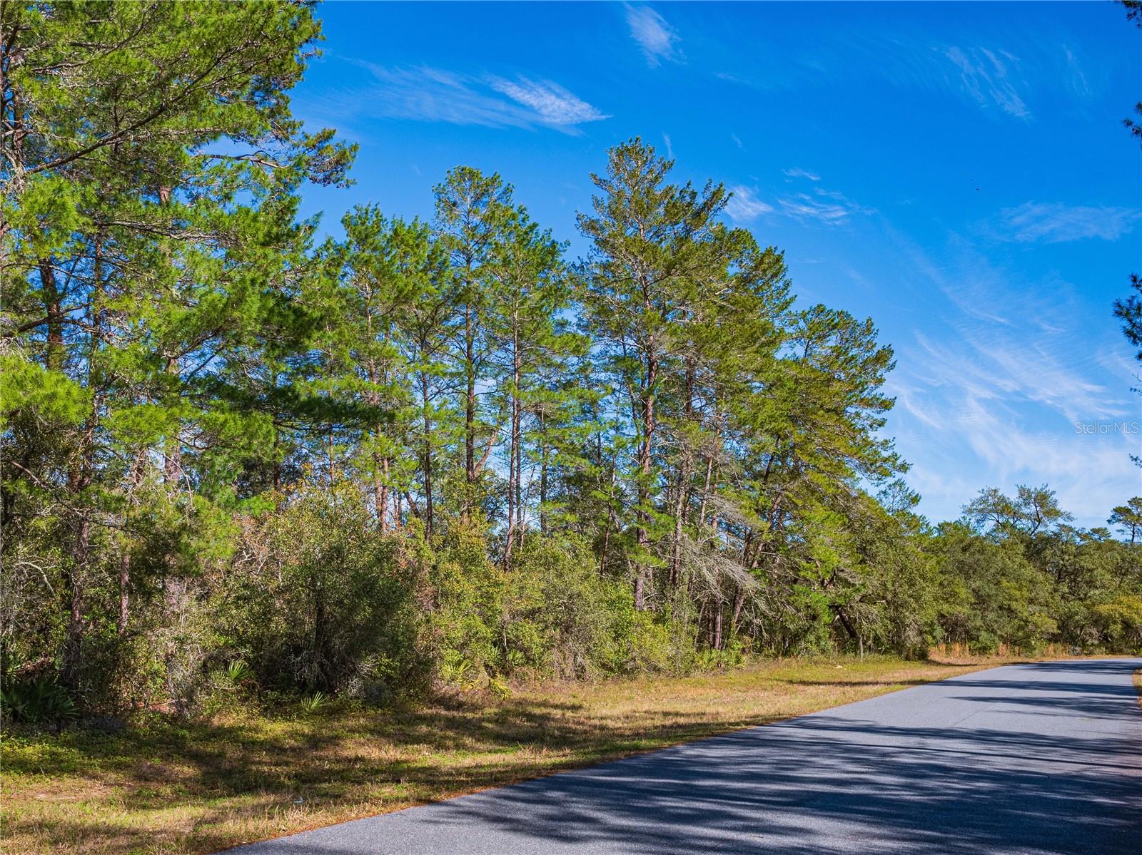SW 36TH AVENUE RD, OCALA, FL, 34473
