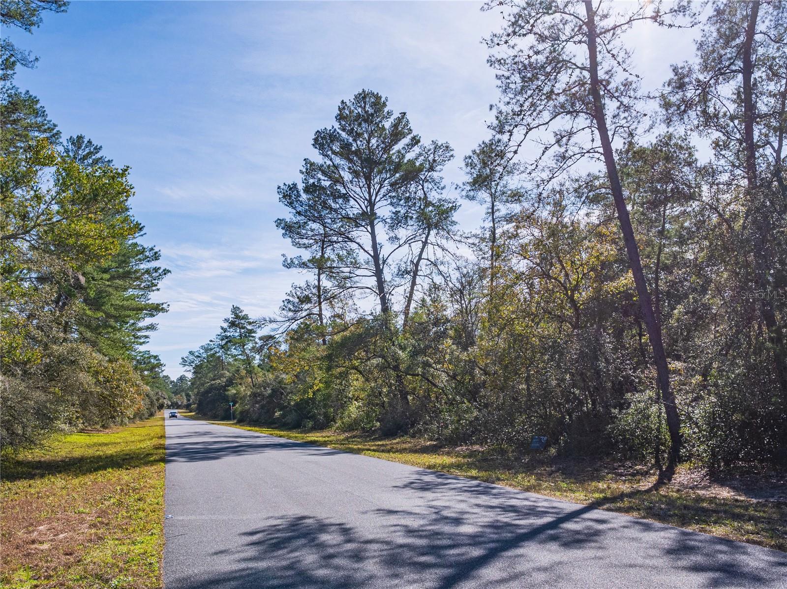 SW 36TH AVENUE RD, OCALA, FL, 34473