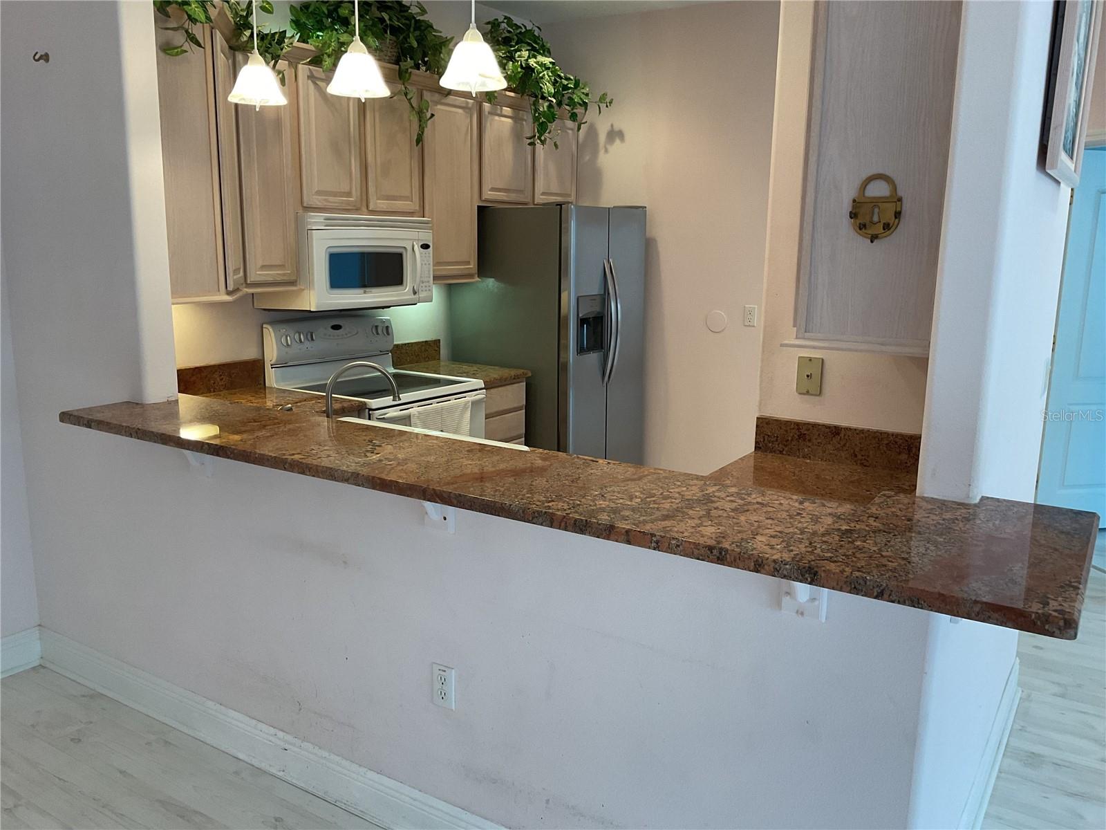 17353 CHATEAU PINE WAY, CLERMONT, FL, 34711