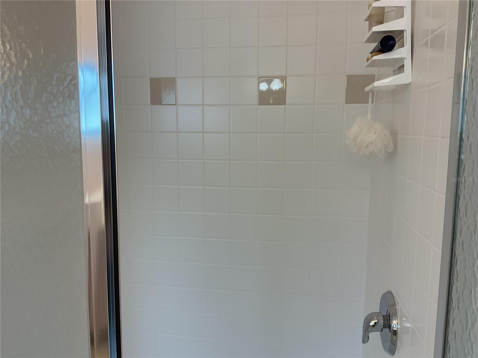 17353 CHATEAU PINE WAY, CLERMONT, FL, 34711