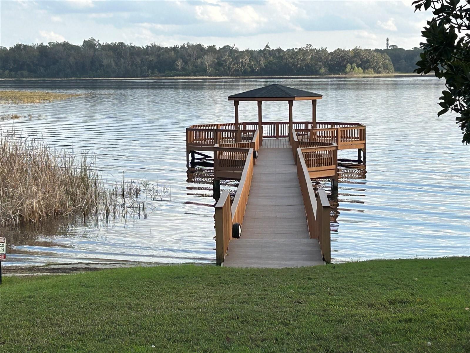 17353 CHATEAU PINE WAY, CLERMONT, FL, 34711