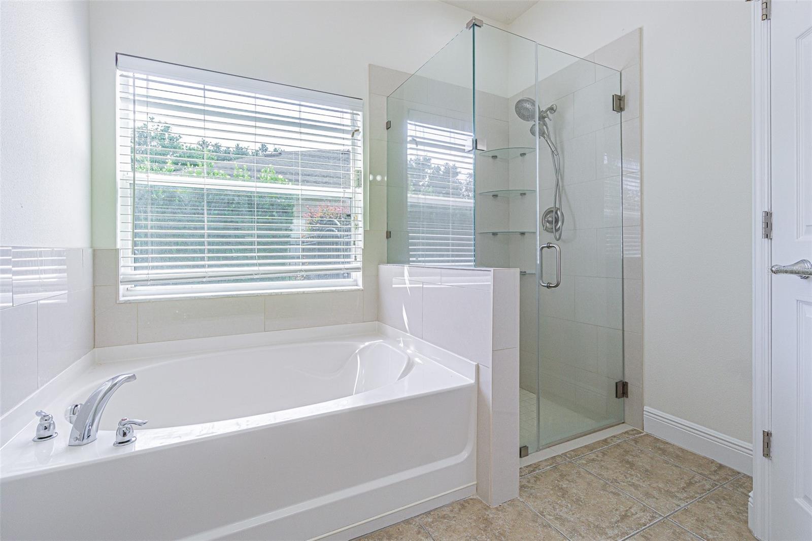 5709 WHITE TRILLIUM LOOP, LAND O LAKES, FL, 34639