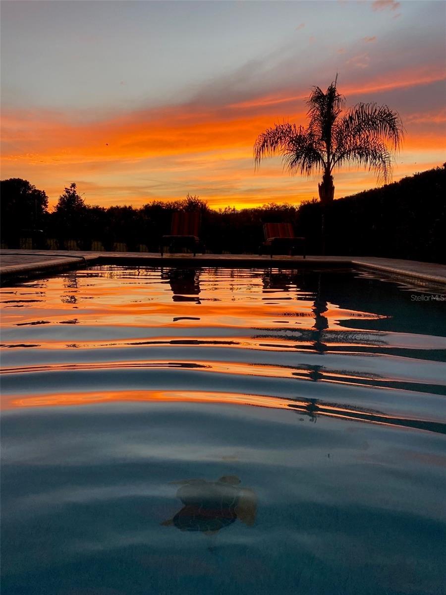 5709 WHITE TRILLIUM LOOP, LAND O LAKES, FL, 34639