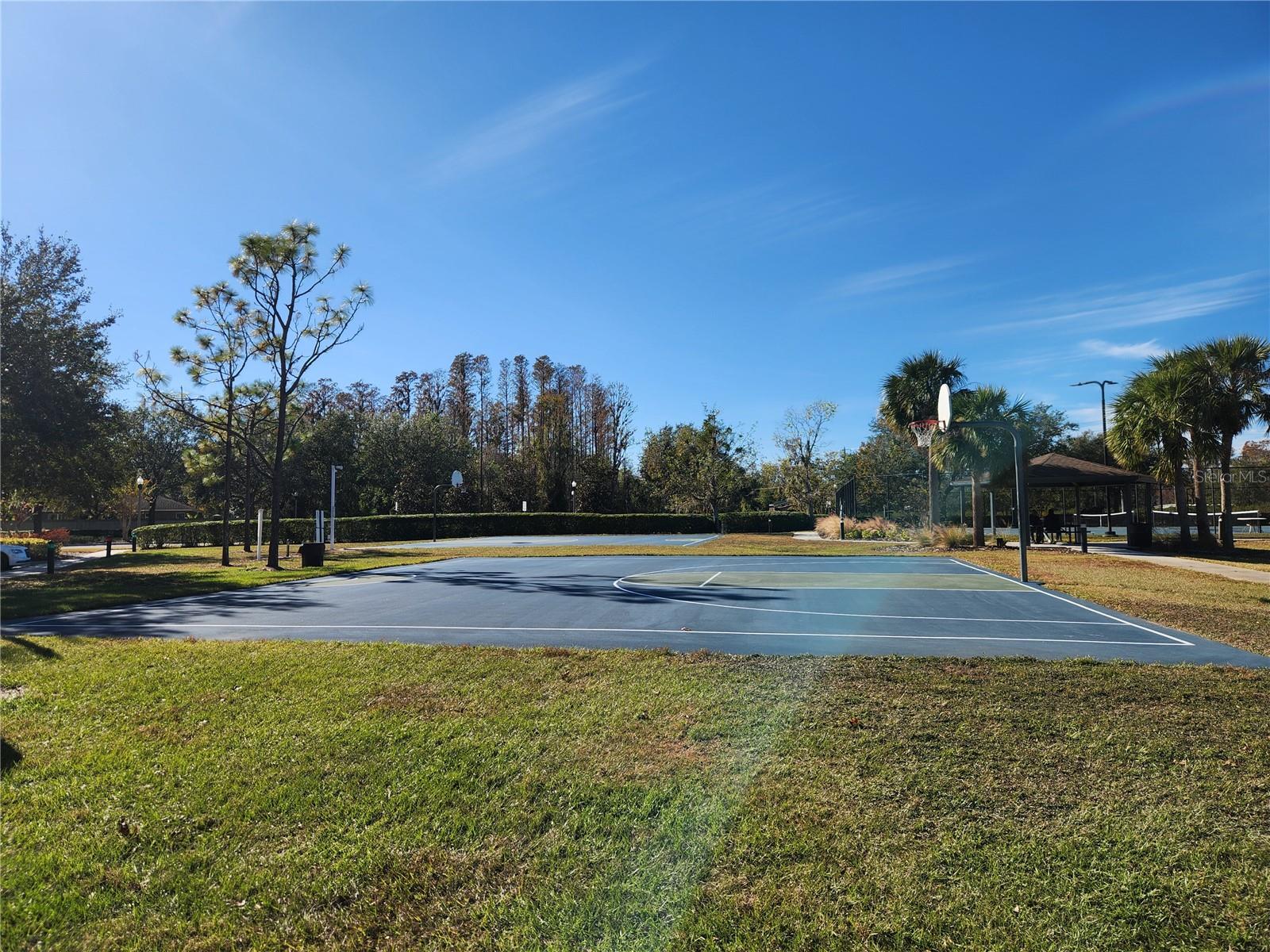 5709 WHITE TRILLIUM LOOP, LAND O LAKES, FL, 34639