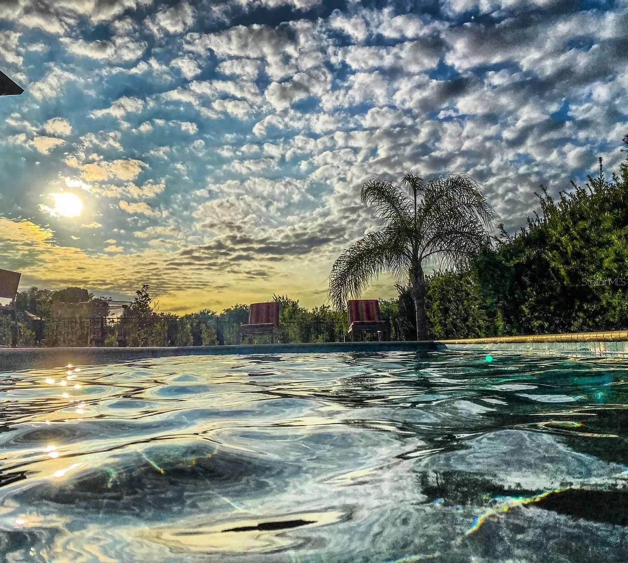 5709 WHITE TRILLIUM LOOP, LAND O LAKES, FL, 34639