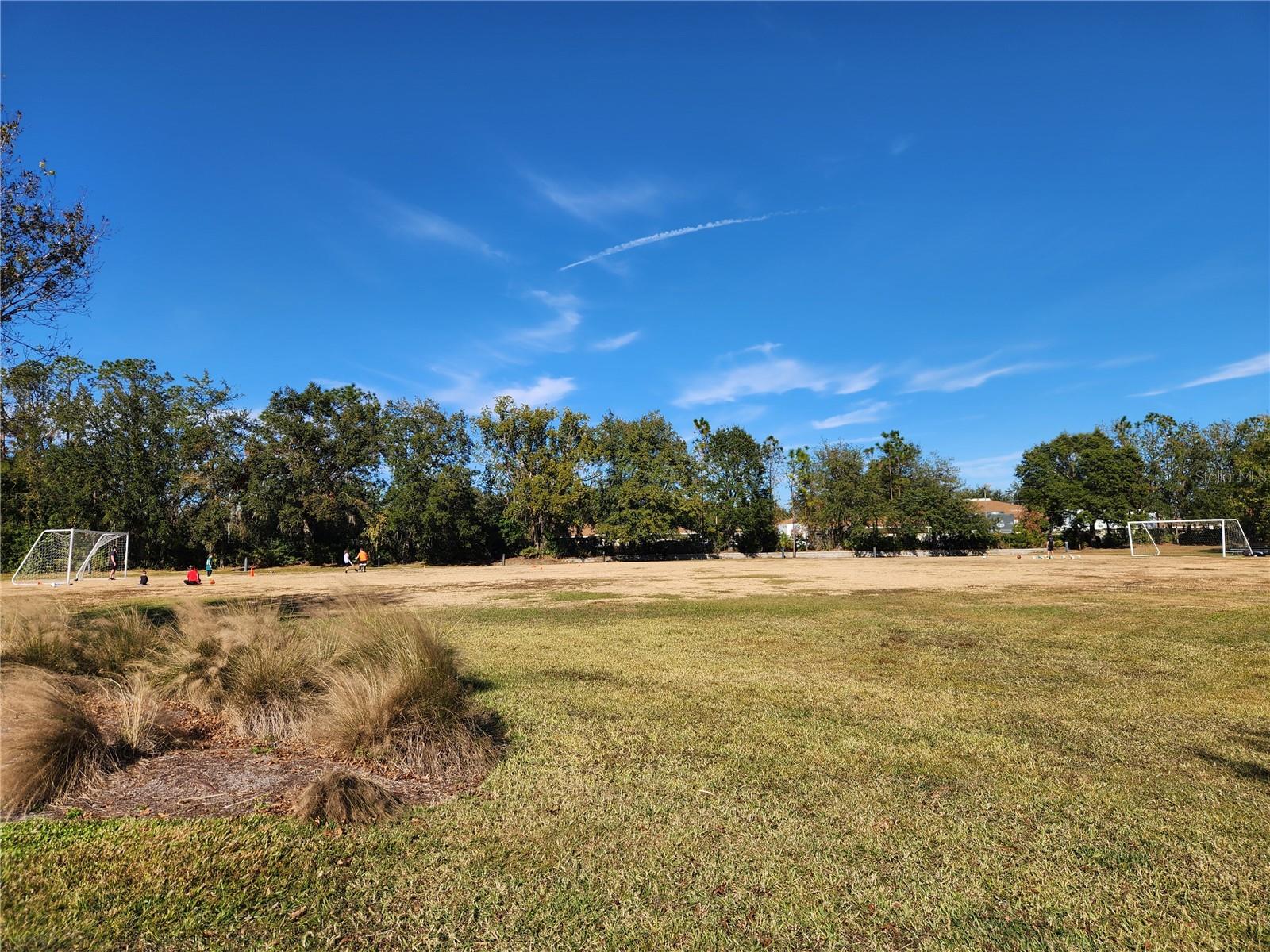 5709 WHITE TRILLIUM LOOP, LAND O LAKES, FL, 34639