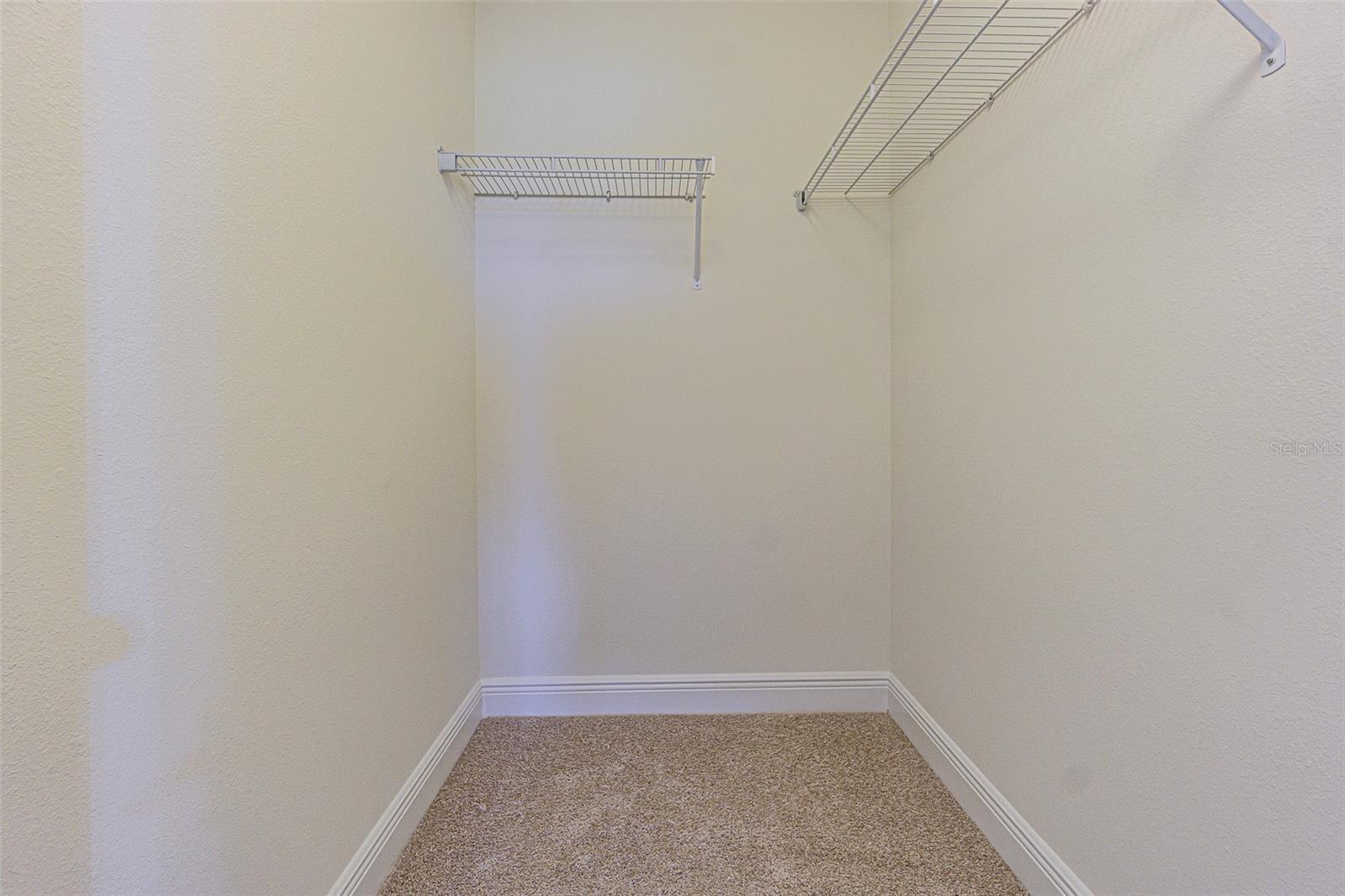 5709 WHITE TRILLIUM LOOP, LAND O LAKES, FL, 34639