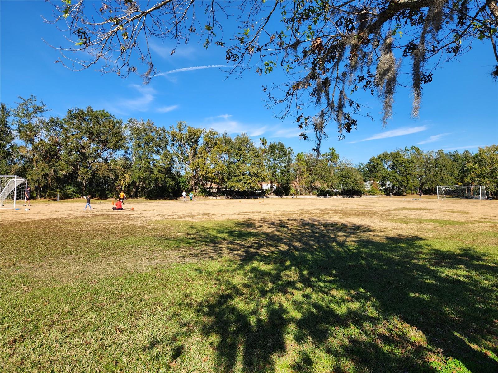 5709 WHITE TRILLIUM LOOP, LAND O LAKES, FL, 34639